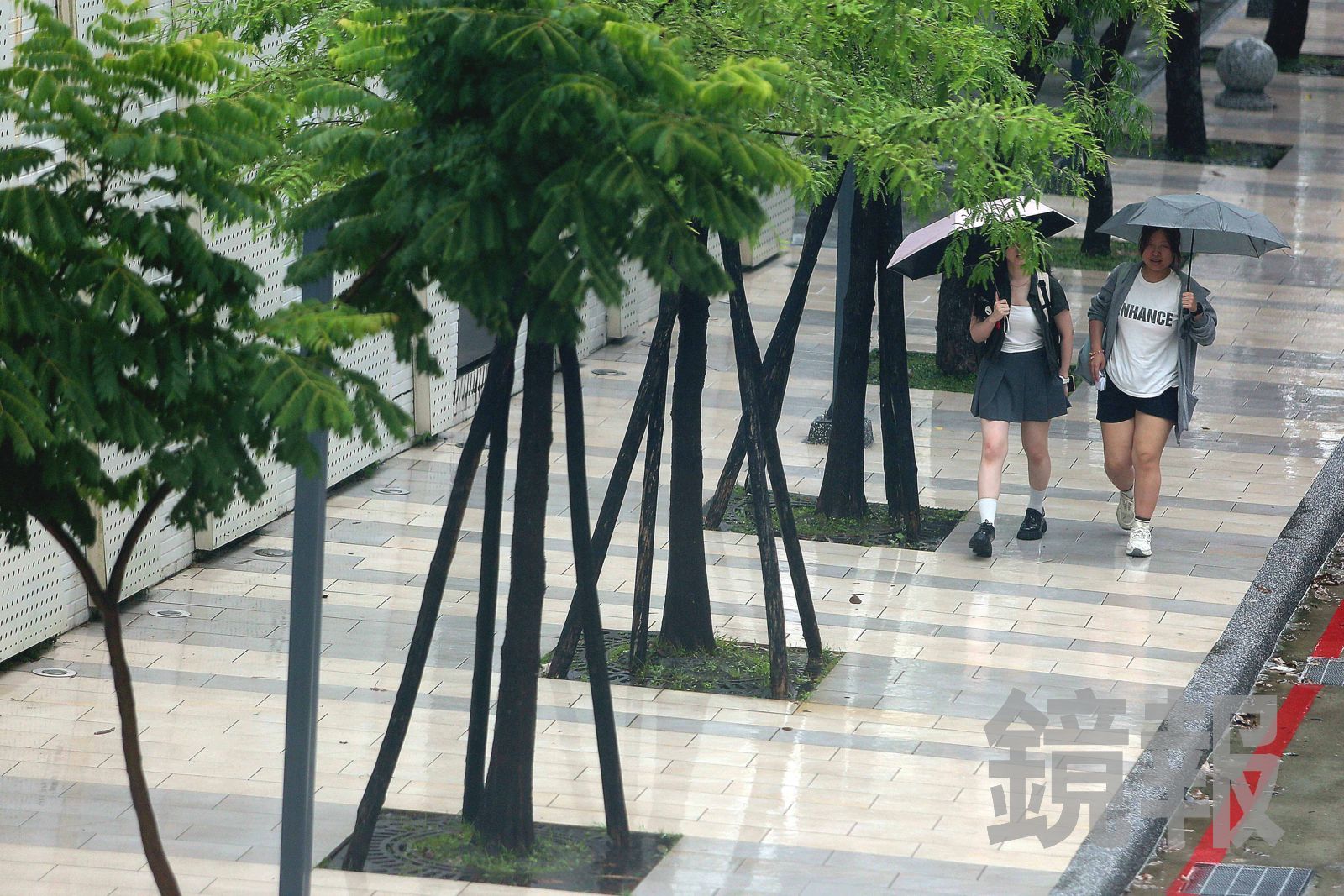 白海豚逼近「雨炸台灣」時間曝!「這些地區」已達颱風假標準…花蓮卻飆38°C高溫