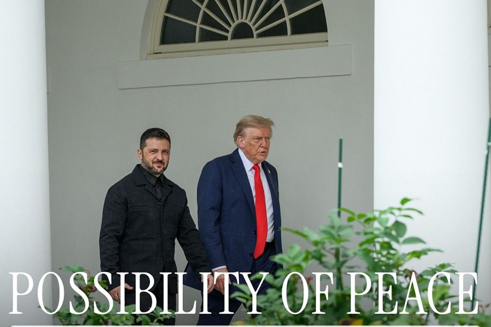 分手擂台變BL風！澤倫斯基穿西裝見川普被稱讚　義女總理又翻白眼