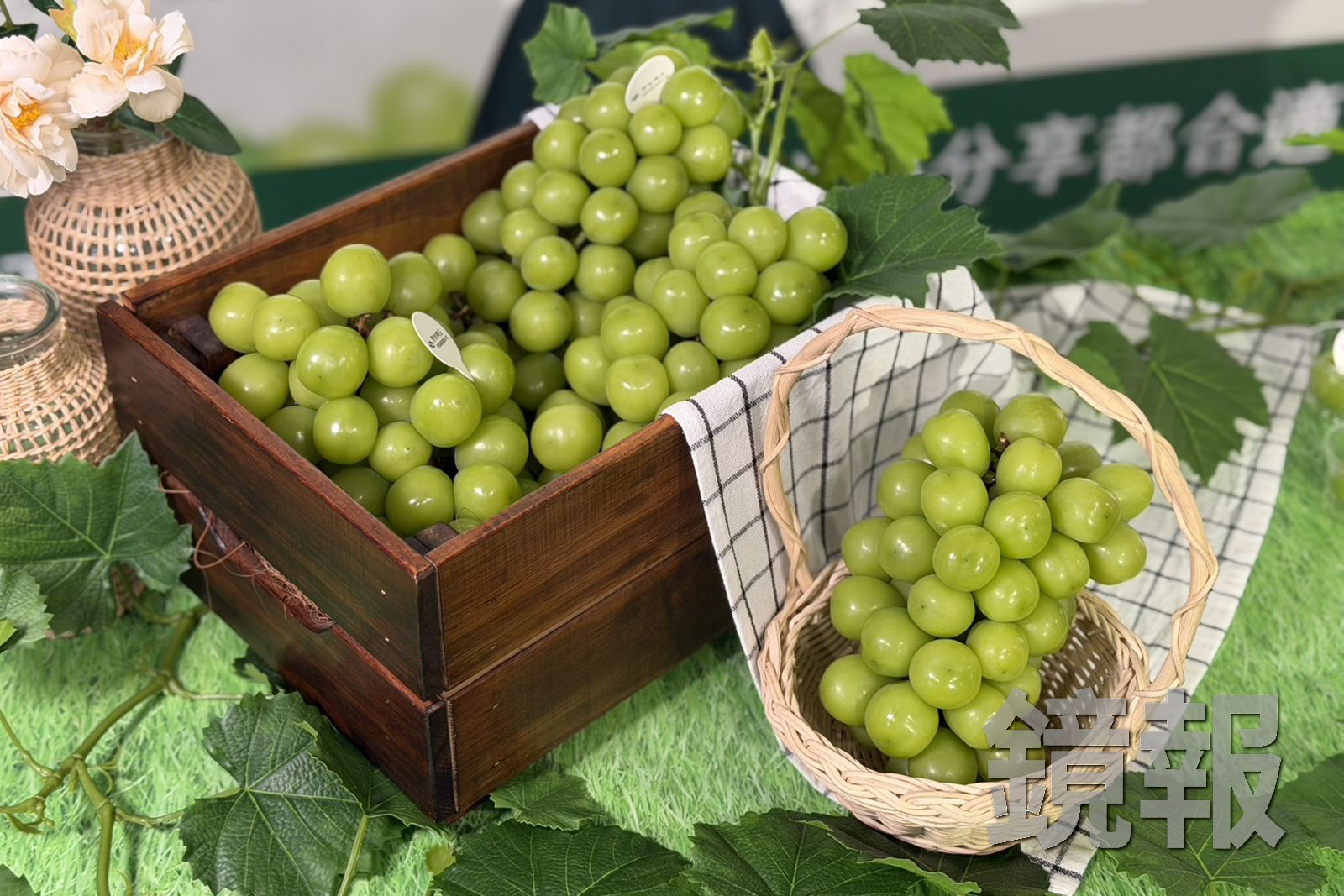 韓國麝香葡萄果實飽滿、皮薄無籽,咬下時口感彈脆、汁水豐富,今年盛產,價格更親民。