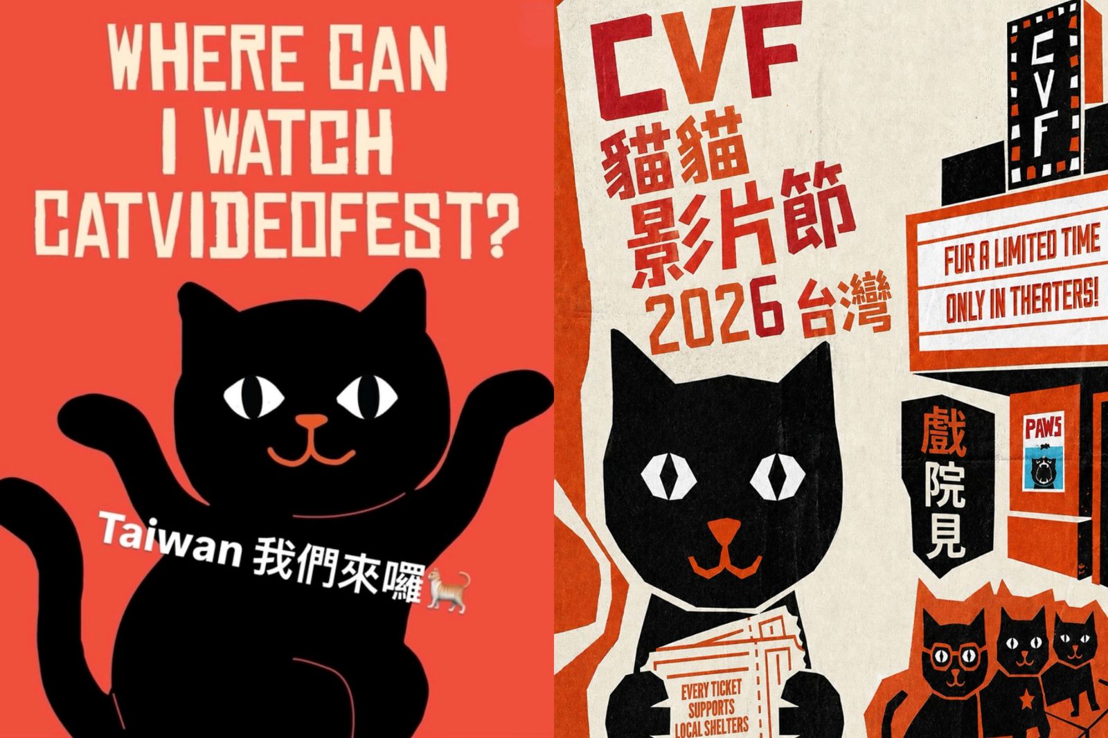 萬人齊聚大銀幕吸貓!美狂賣擠進票房前10 國際貓貓影片節首度登台