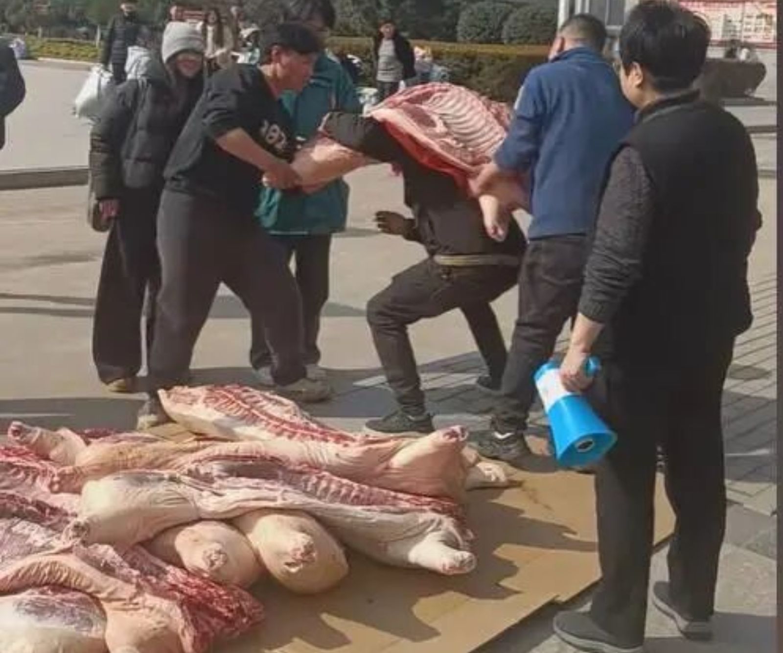 學生直接「扛起獎品」帶回家。圖／微博