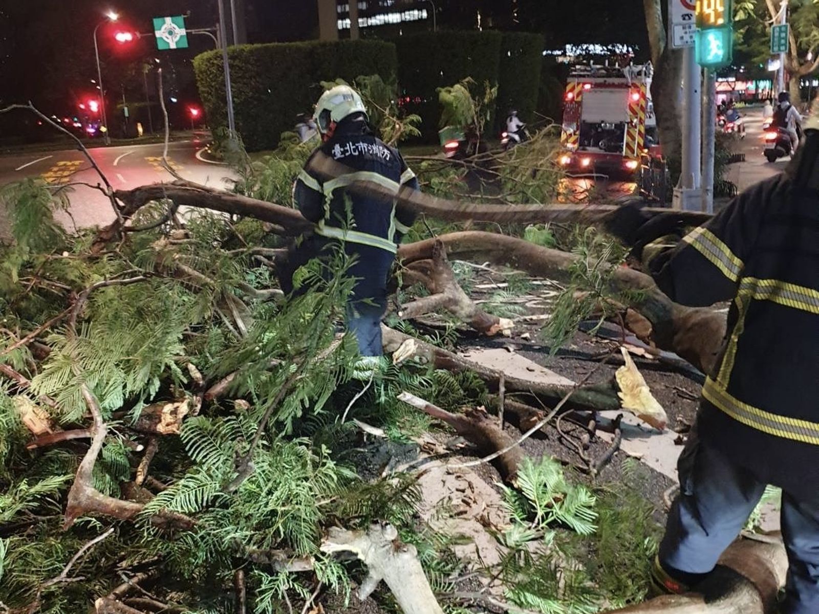 仁愛圓環驚傳路樹倒塌!15公尺樹木橫跨車道…壓到電線