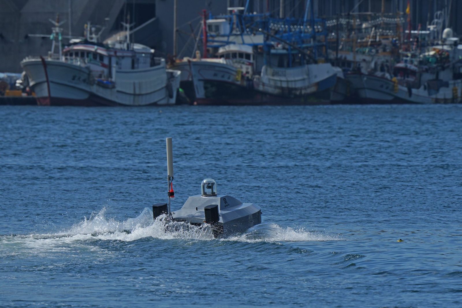 「雄獅崛起」與「蛛網行動」給台灣的啟示