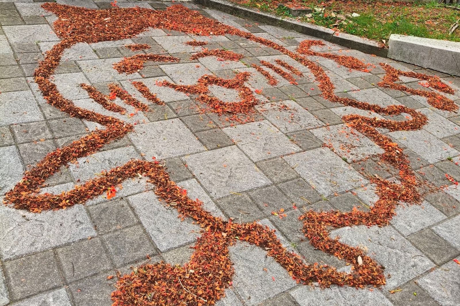 被警衛耽誤的藝術家!他把落葉「掃」出卡通圖案 網朝聖:讓人想上學