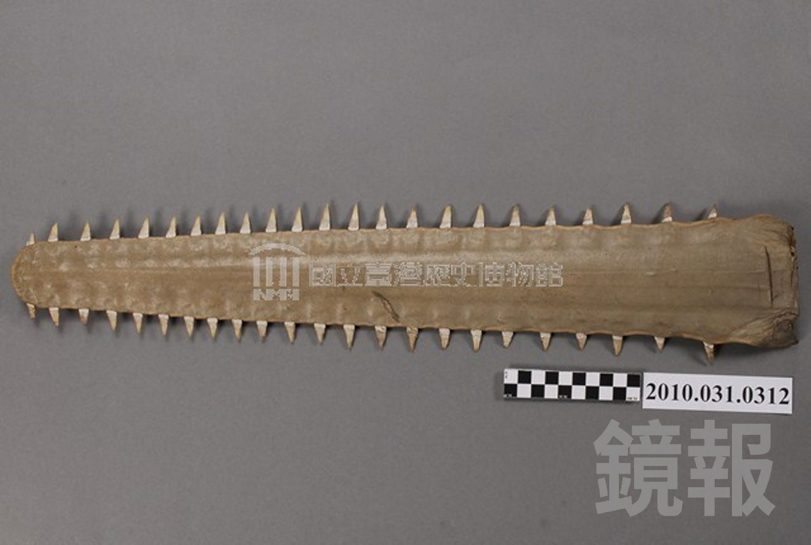 網售乩童五寶「鯊魚劍」 沒顯神威先觸法