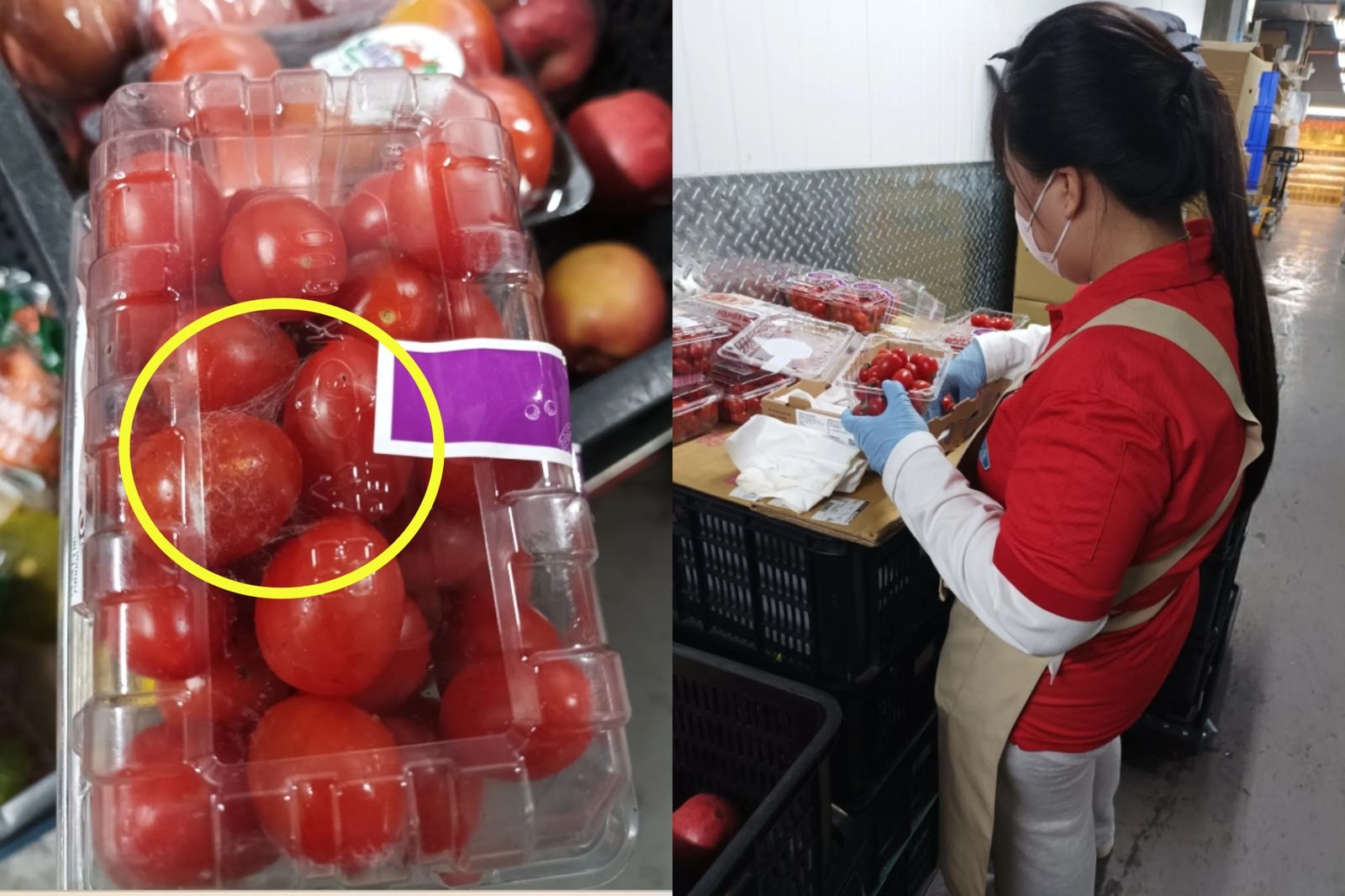 大全聯青埔店遭爆「番茄長蜘蛛網擦乾淨再賣」！員工揭內部亂象　官方回應了：衛生局複查都OK
