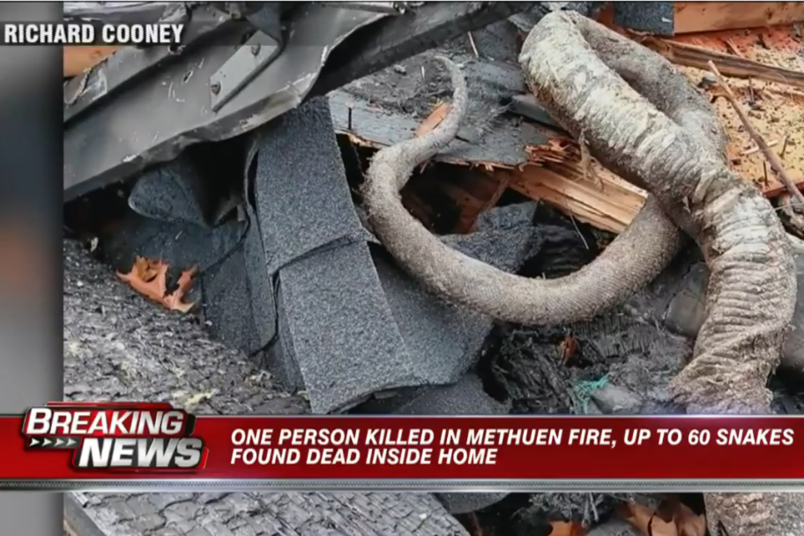 美國一處民宅起火，造成1名男子、60條寵物蛇及數隻鳥死亡。圖／翻攝自7NEWS Boston