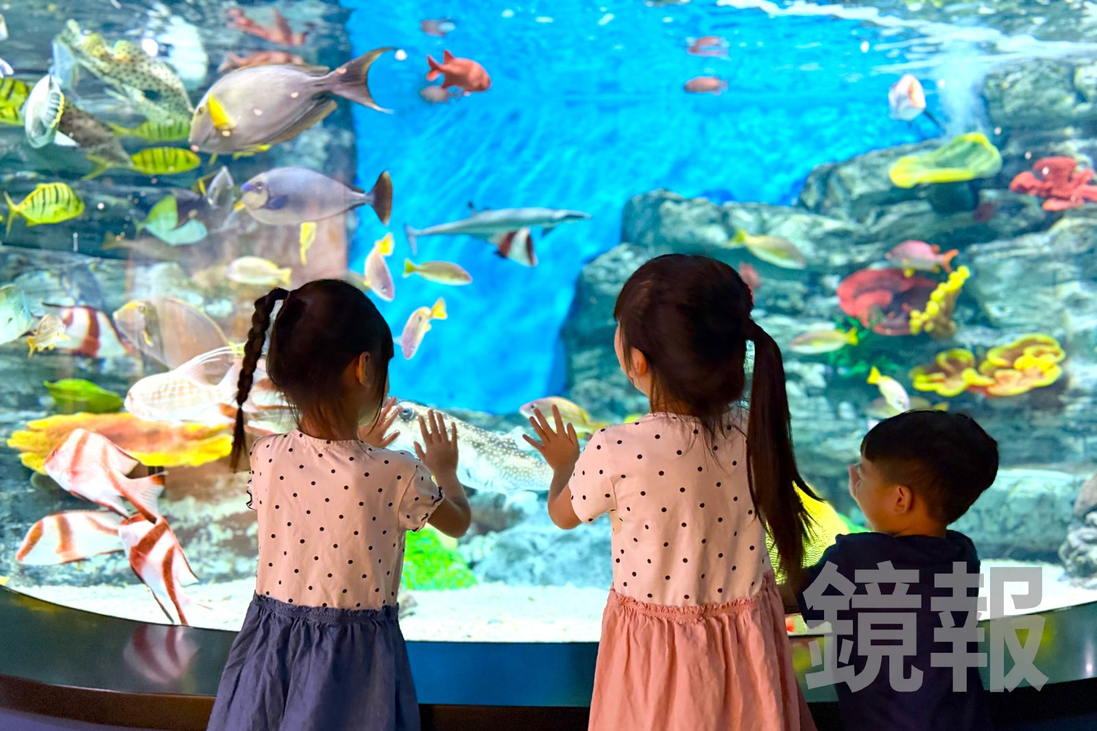 「3歲小孩出國長大也不會記得」掀論戰!醫師打臉:不記得≠沒有意義