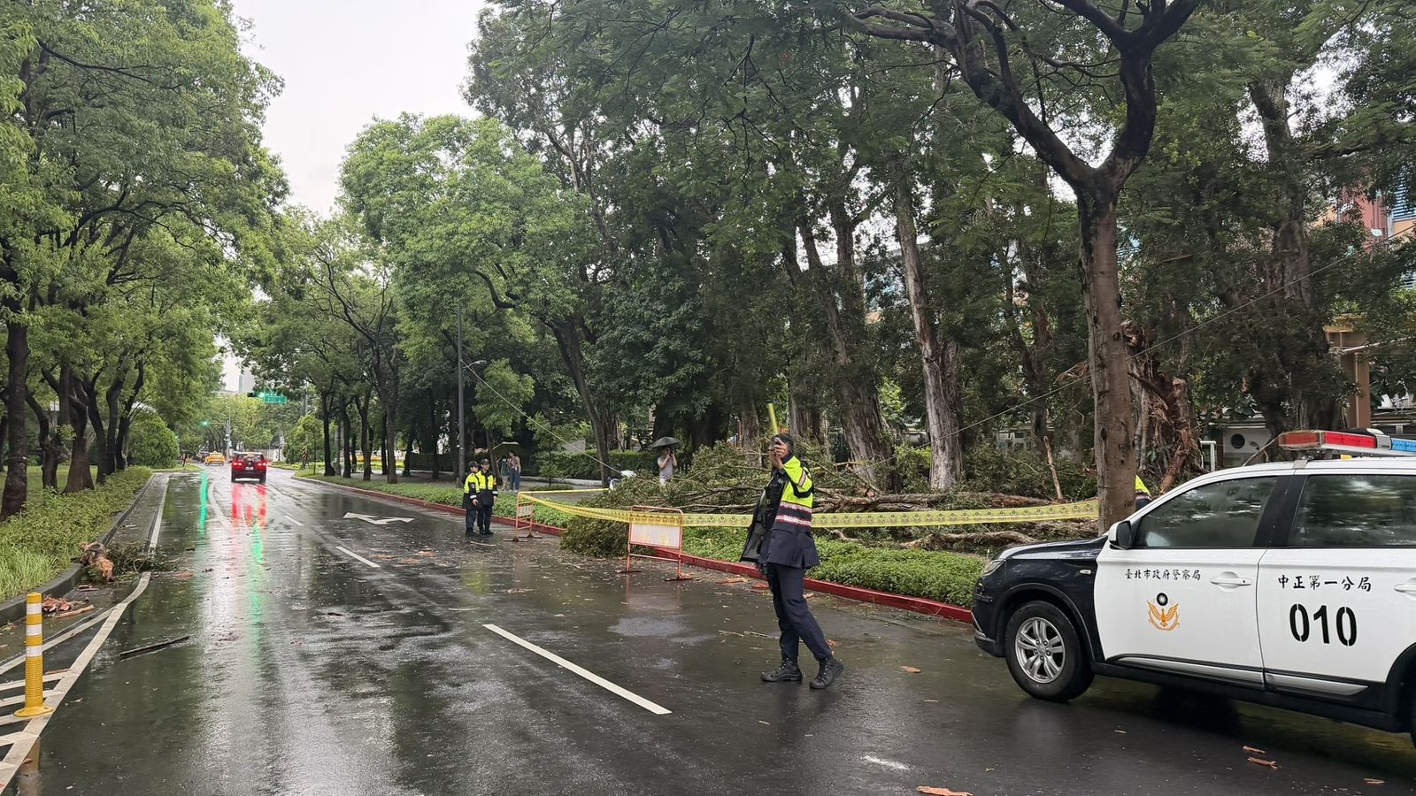 午後雷雨發威!北市愛國西路樹木遭雷劈倒 監視器拍下親子驚險逃過一劫