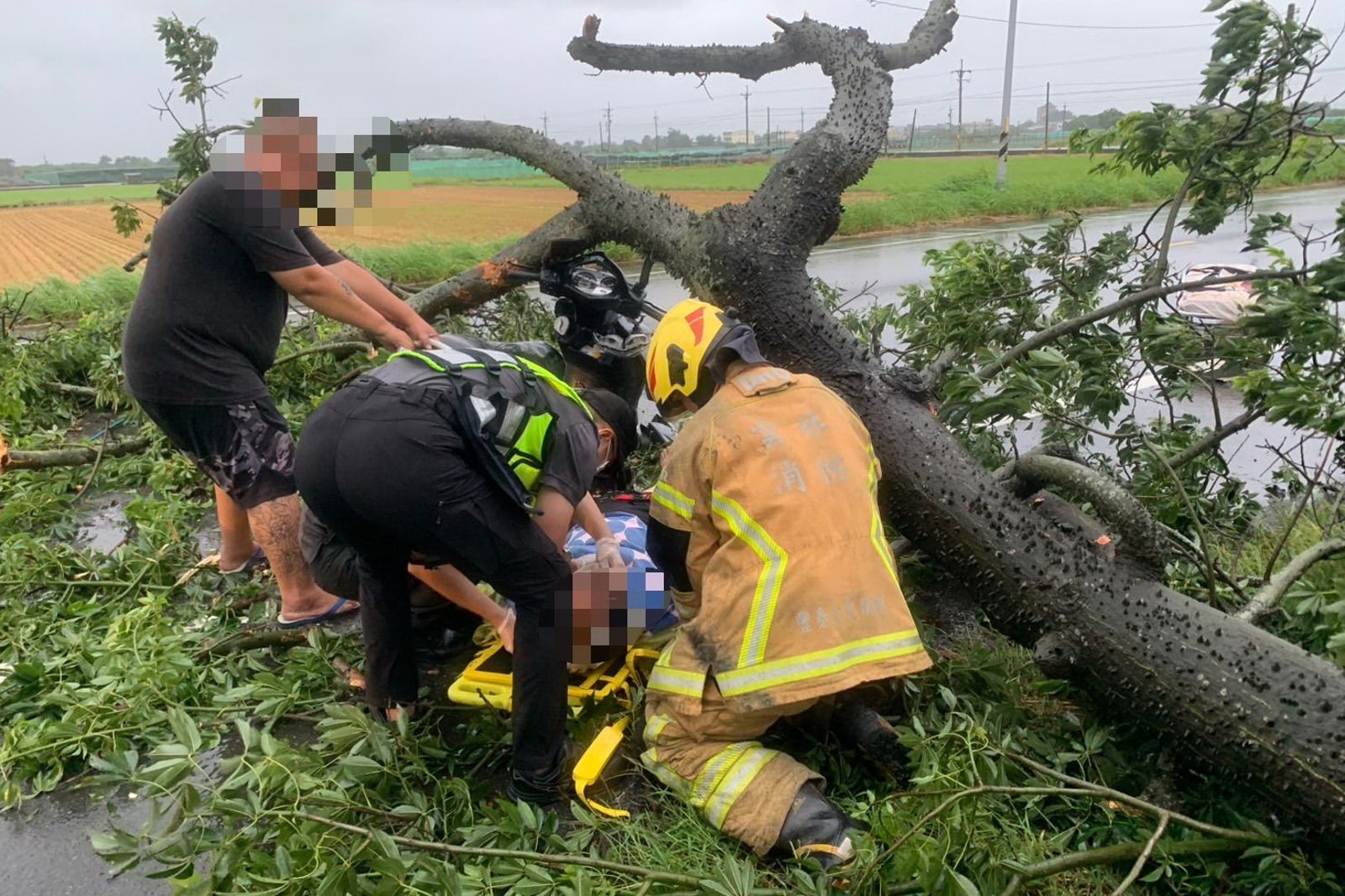 颱風天驚悚一瞬!65歲婦騎機車遭路樹壓住 雲林釀首起傷者畫面曝光