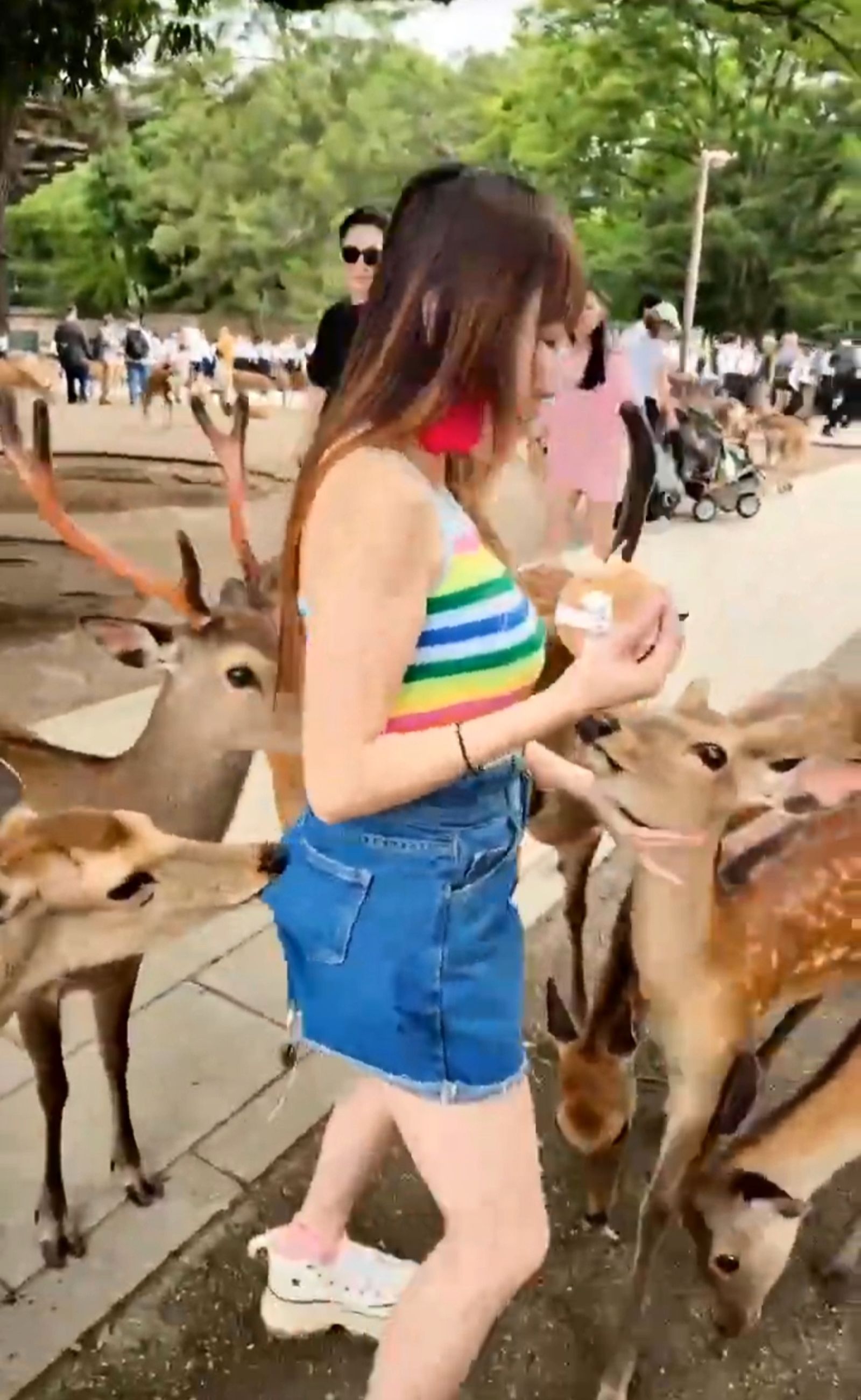 王宥忻被鹿群偷襲屁股。女神愛啪啪 IPAPA提供