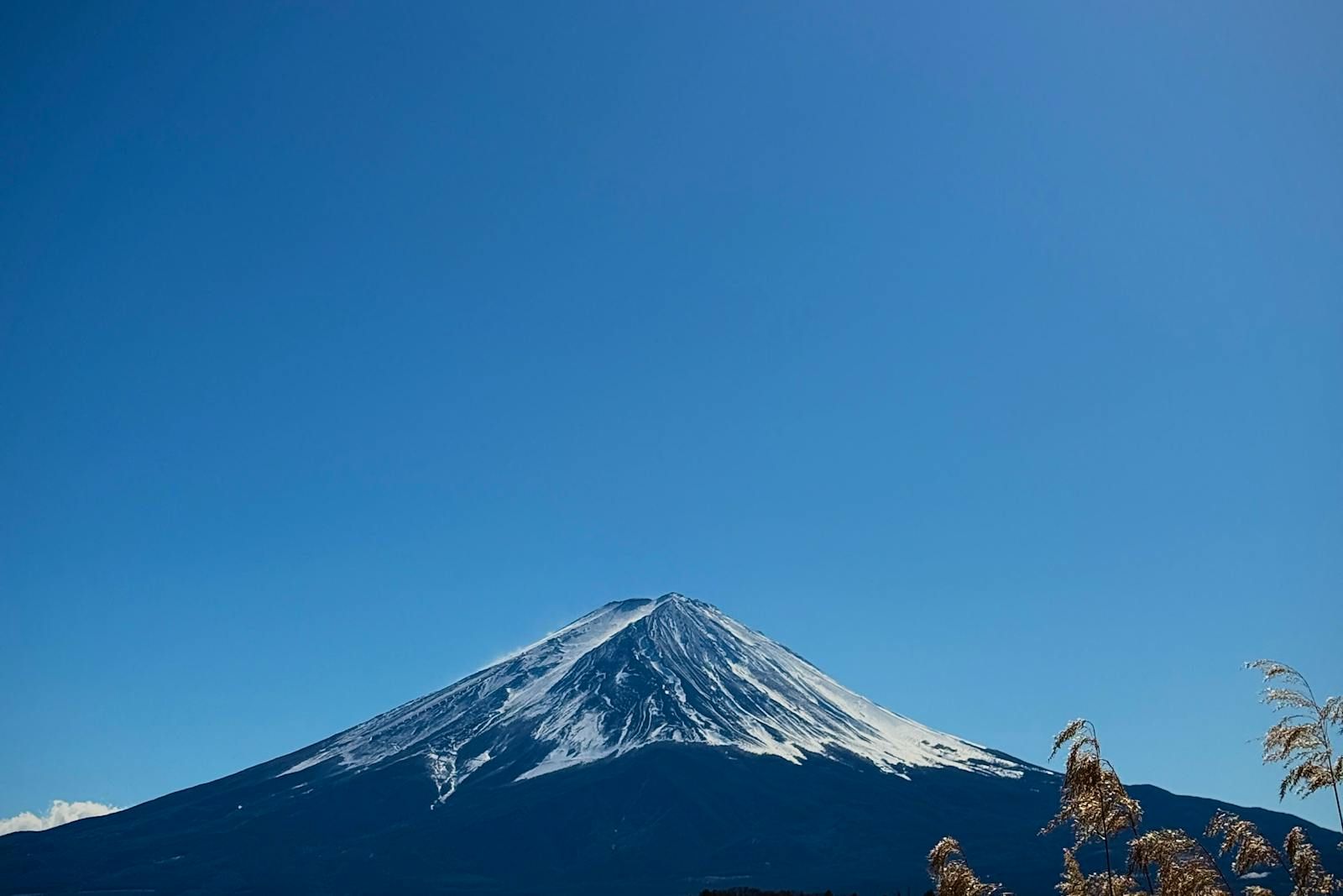 日本旅遊注意!東京、大阪爆新型詐騙「台灣同鄉求助」 一心軟恐吃官司