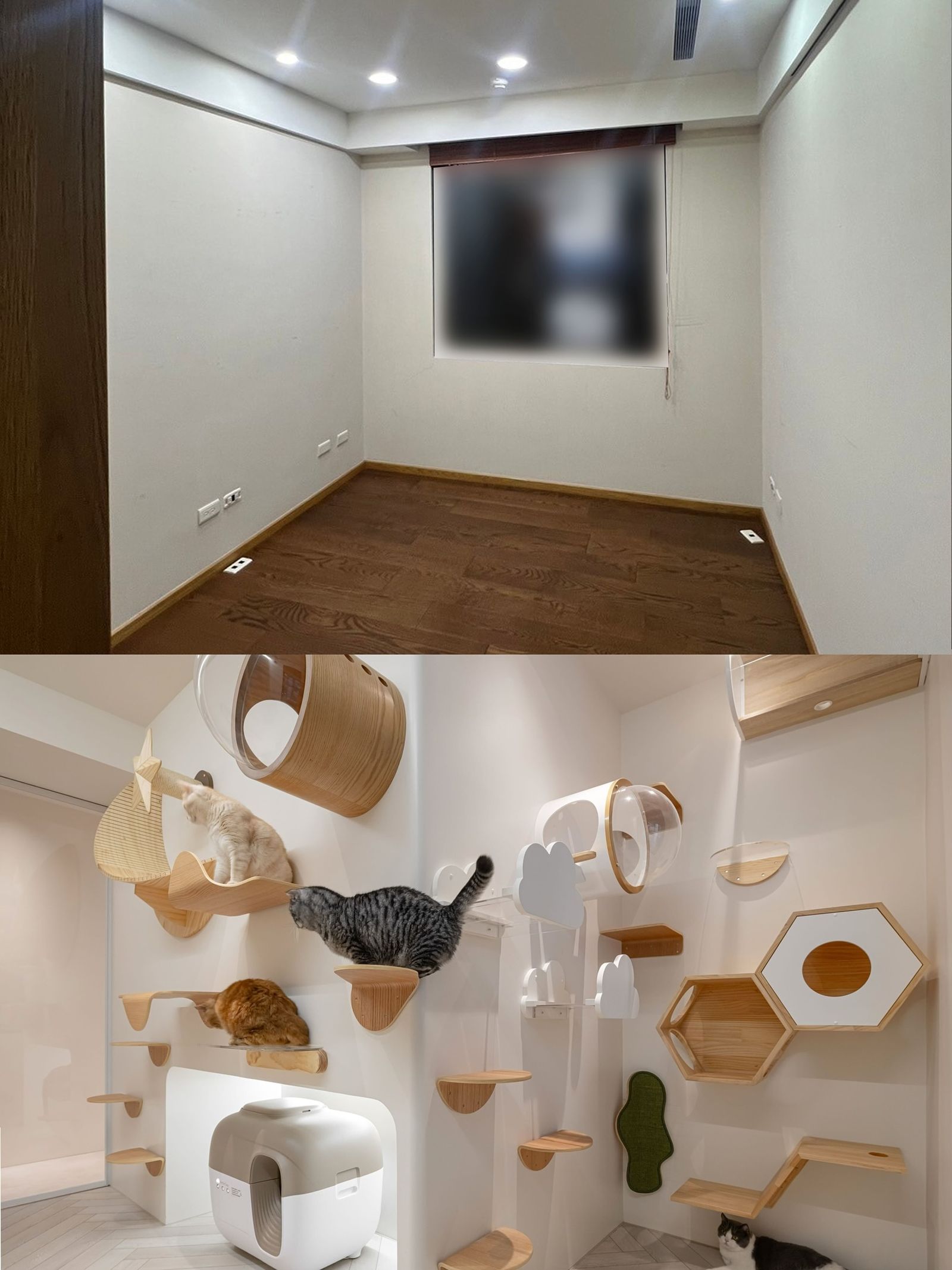 篠崎泫曬出新家前後對比照，是一個充滿奶茶色的網美宅。翻攝篠崎泫IG