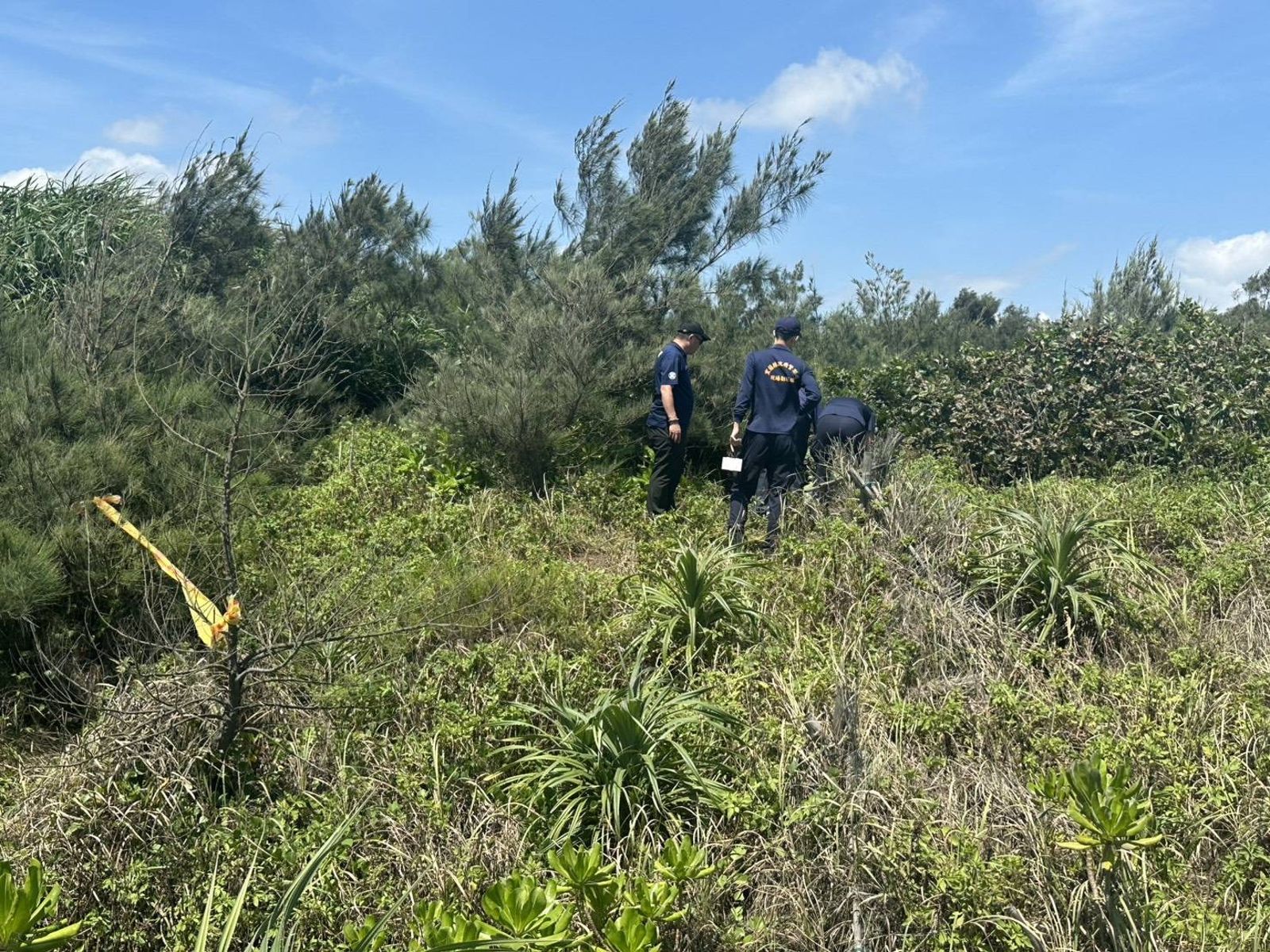 嚇死人!宜蘭網美秘境驚見帳篷腐屍 白骨外露、遊客當場嚇哭