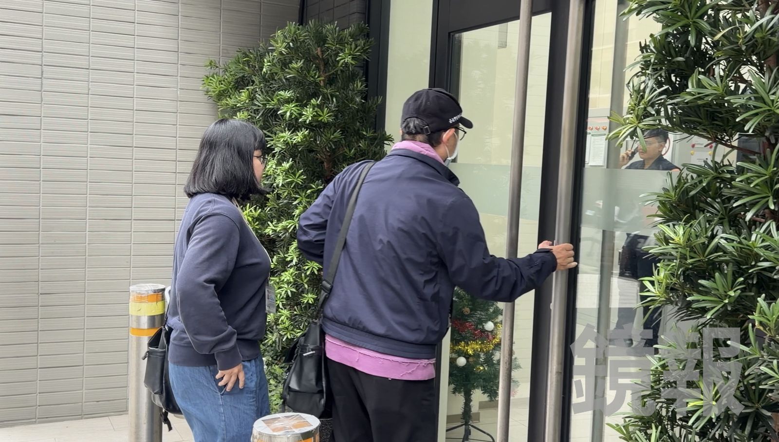 獨家/愛貓人士痛批動保處0作為! 上週才說「無異狀」轉頭就見12貓3慘死