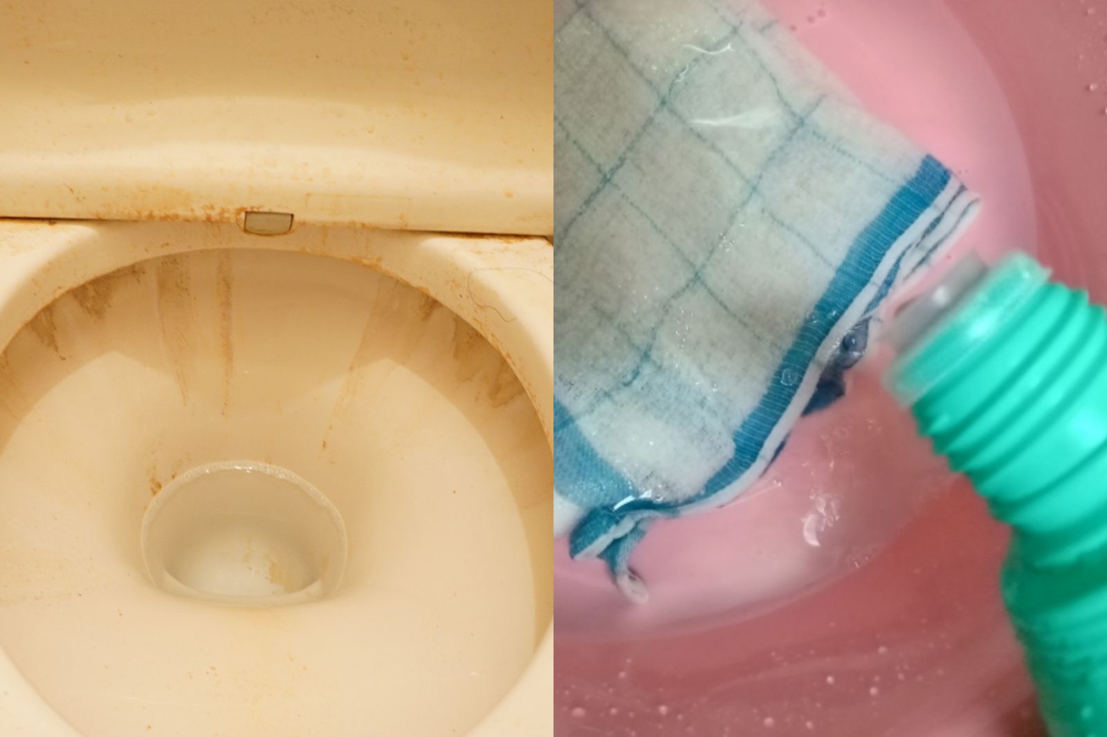 漂白水狂倒也沒用！專家揭馬桶尿垢「越刷越多」真相　全聯1神物秒除汙：連小強都怕