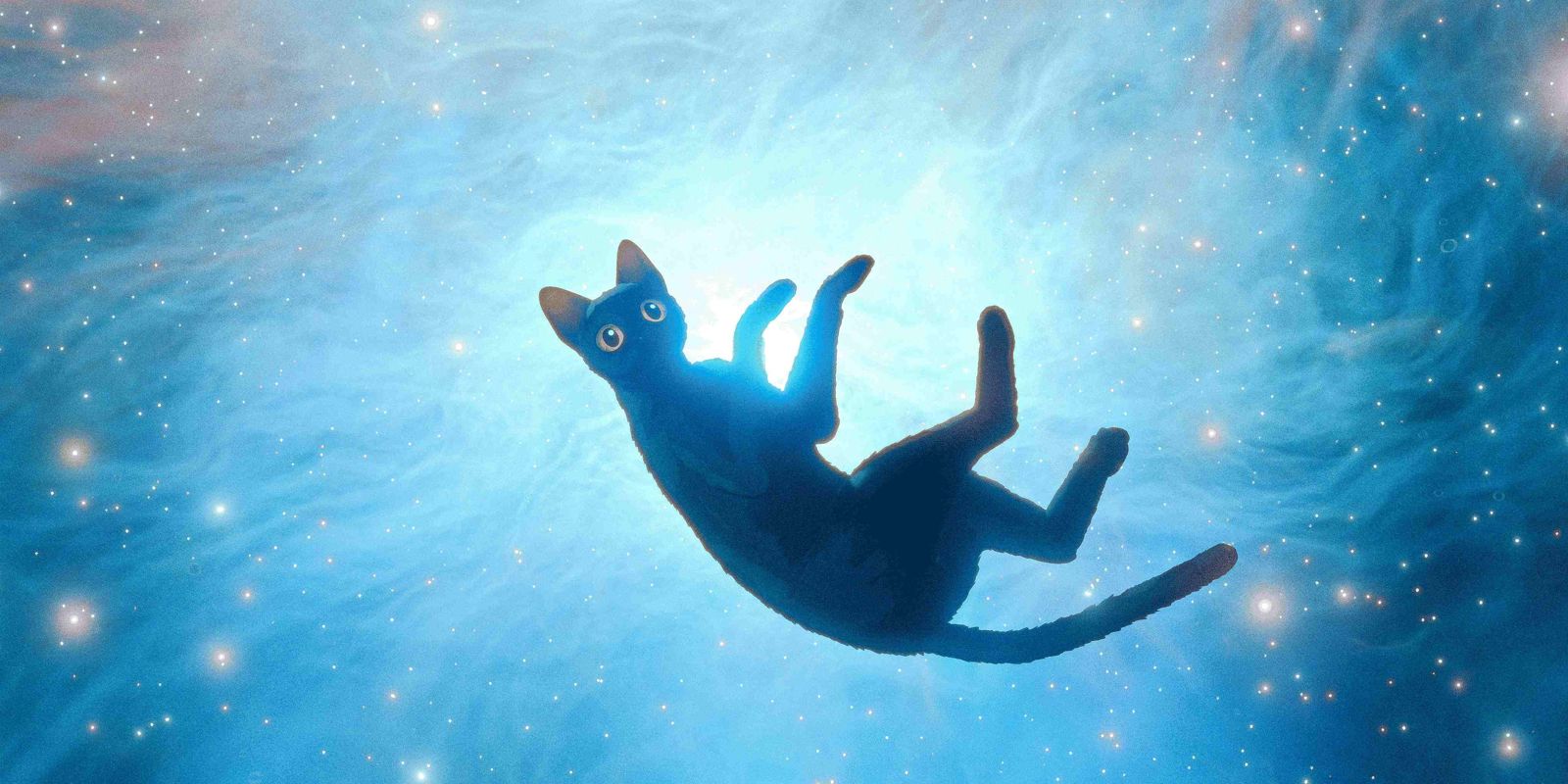 《喵的奇幻漂流》勇奪今年奧斯卡最佳動畫片大獎。海鵬影業提供