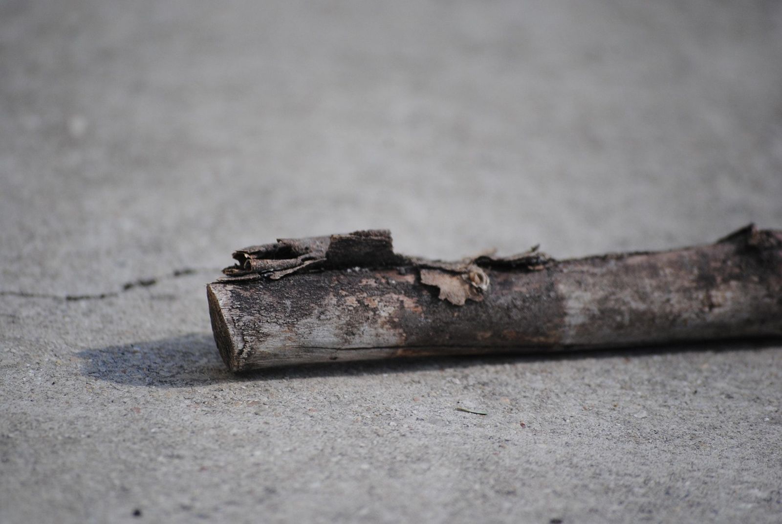 13歲少年模仿電影殺人!把同學「鋸成碎片吃掉」…被逮冷回:只是因為好奇