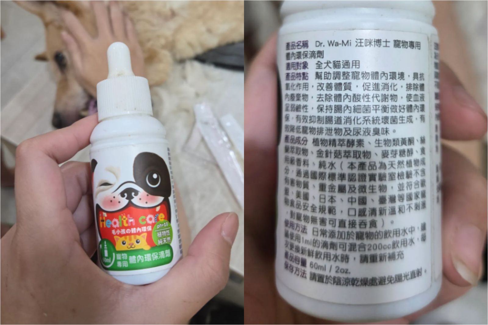 飼主表示,給愛犬喝有體內環保滴劑的水後出現低血壓、癱軟,不到一天就離世。圖/翻攝自Threads@dd95813