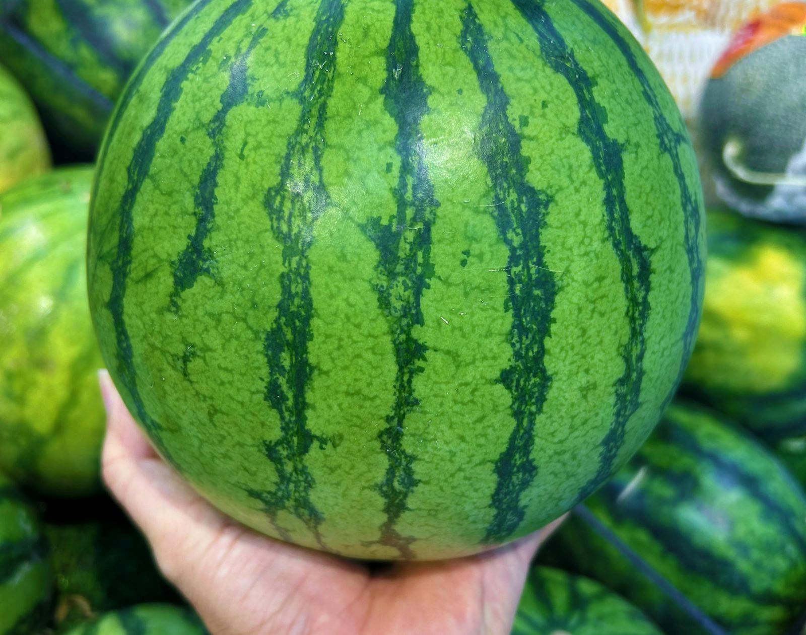 見「西瓜海上漂」千萬不能撿　知情人揭背後原因有洋蔥：該回家了