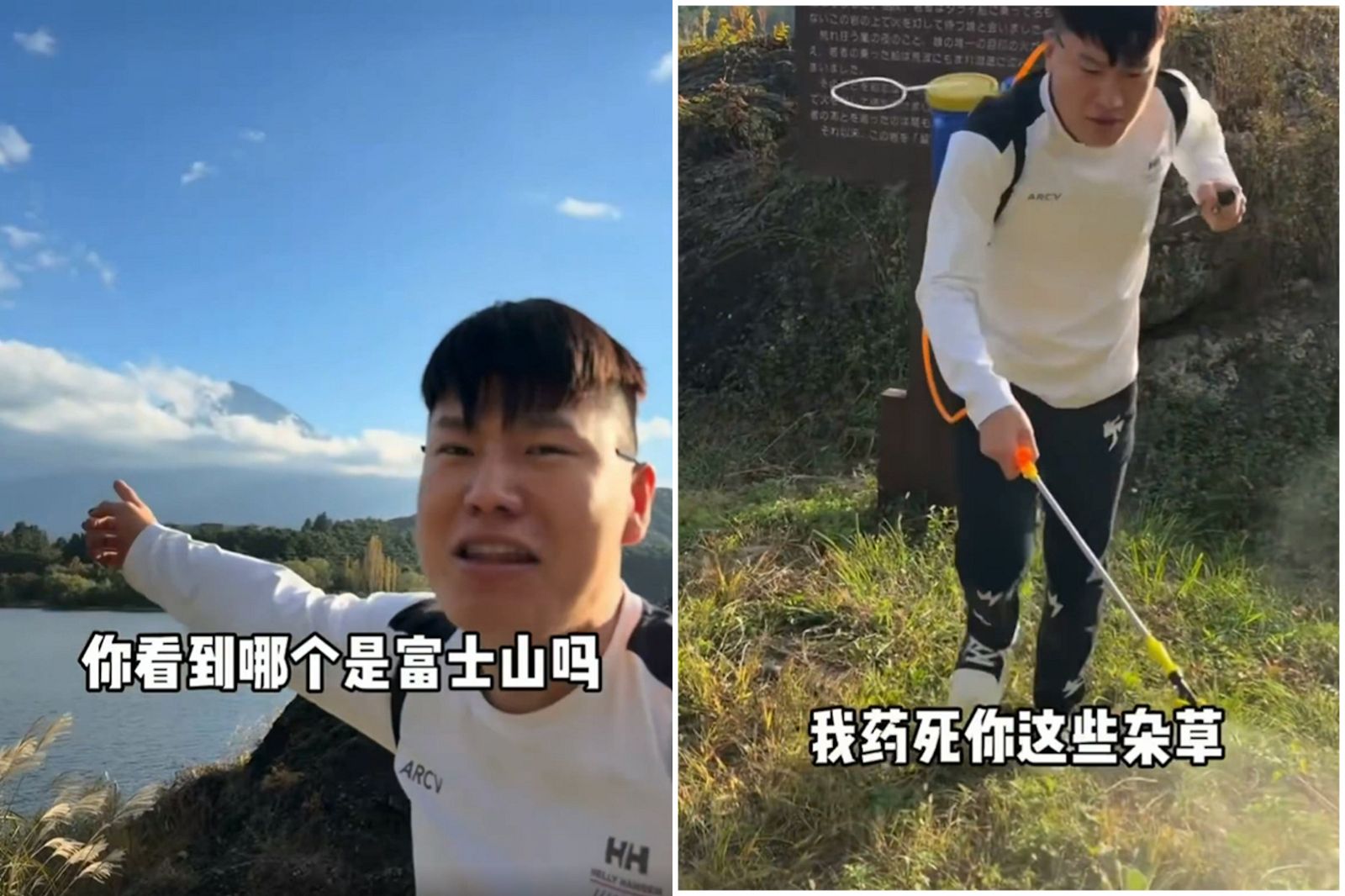河口湖又出事!中國網紅亂噴不明液體疑毒死草,日本啟動調查。圖 / 翻自@JapanBanZaiLove X
