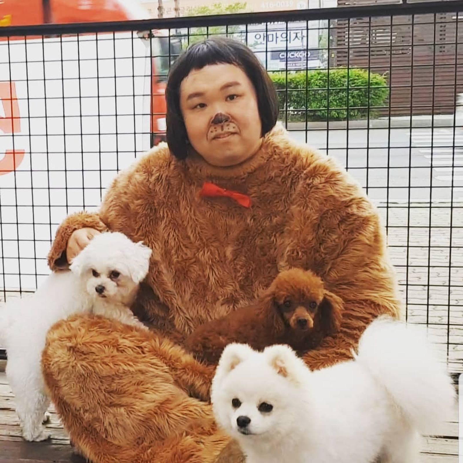 鄭世協最著名的喜劇角色便是狗狗裝扮的Chau Chau。翻攝IG@chowshsh