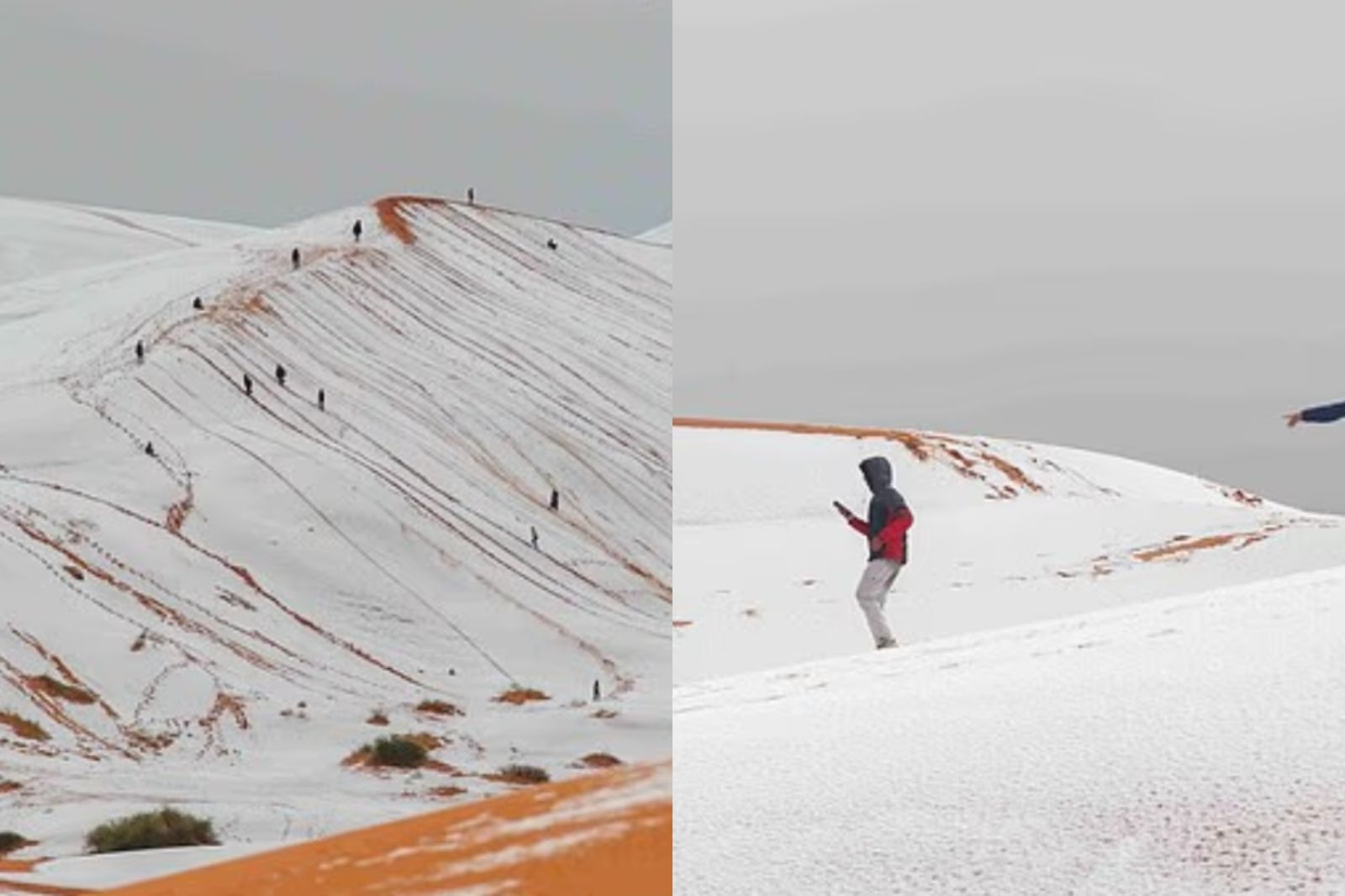 撒哈拉沙漠下雪了！「一片雪白」超驚人奇景曝光
