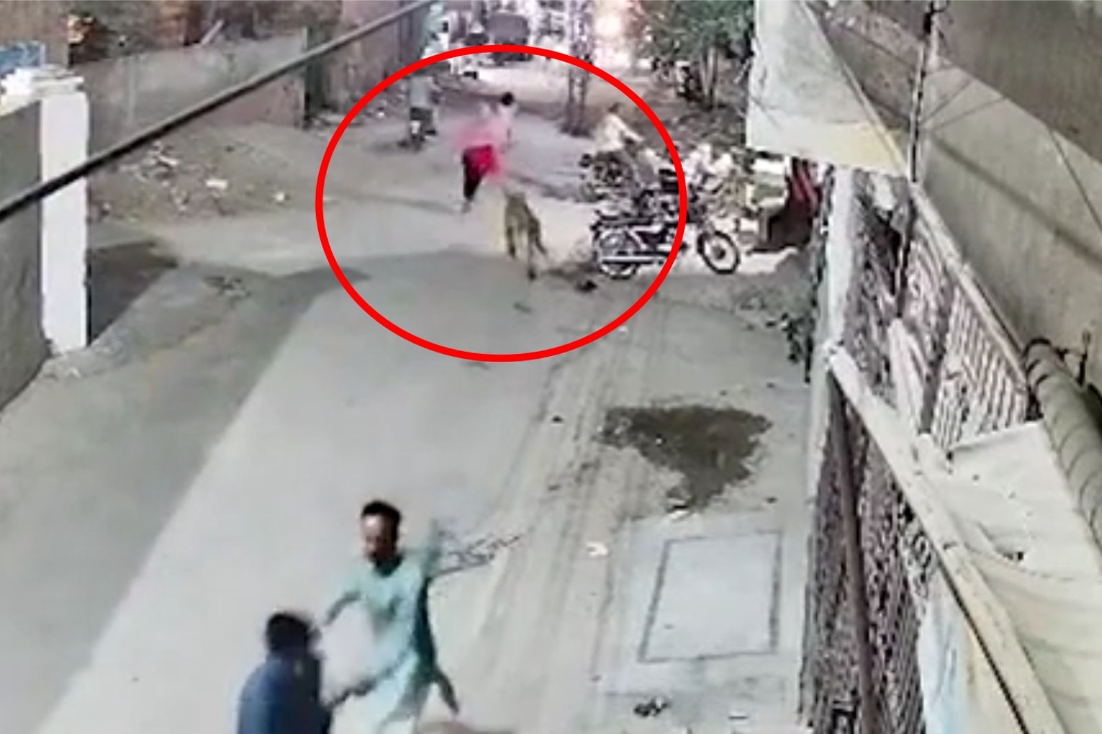 恐怖！住宅區「獅子竄出」撲向2幼童　母親捨命相救畫面曝光