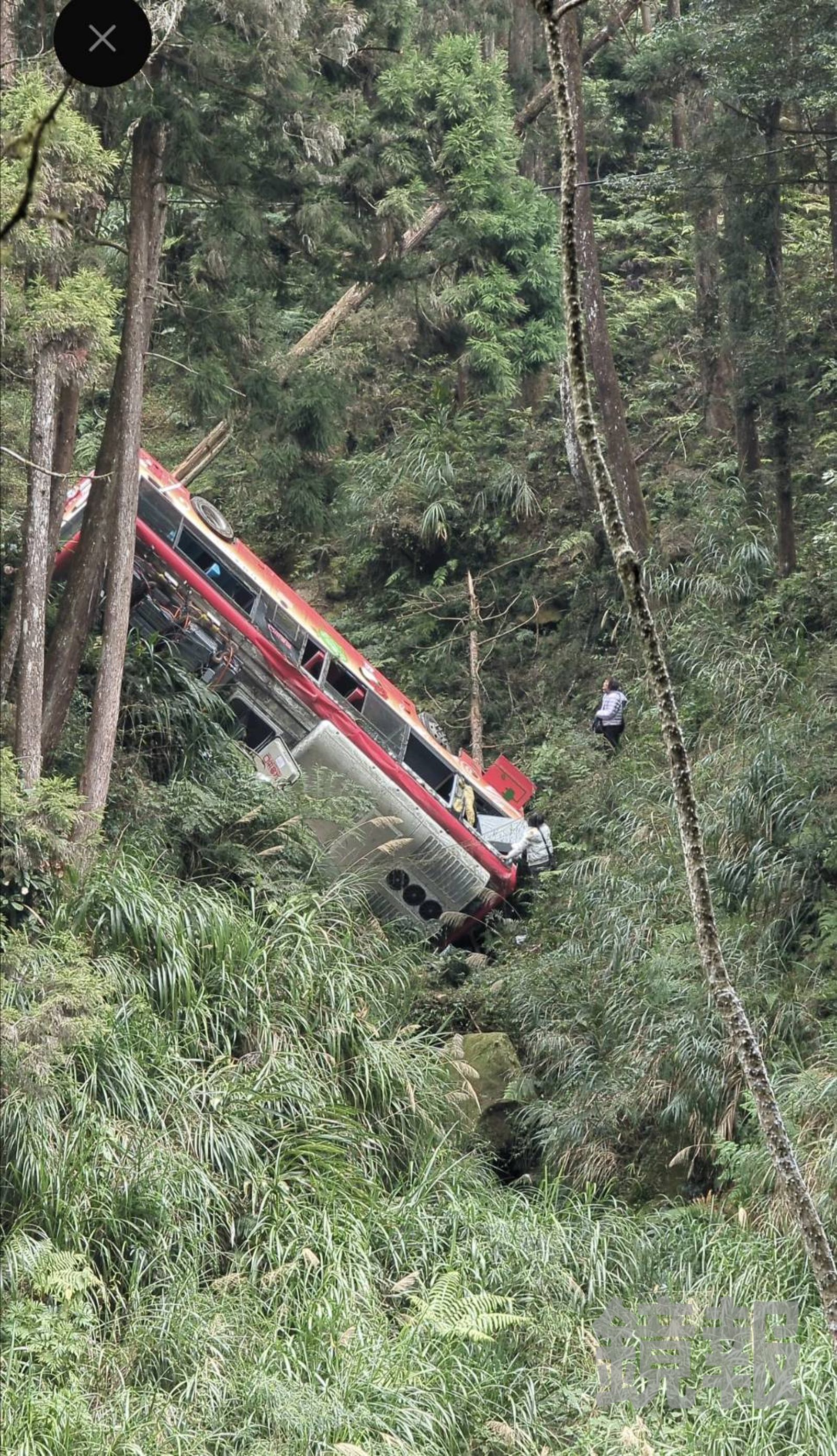 杉林溪森林遊樂區驚傳遊覽車翻覆山谷。翻攝畫面