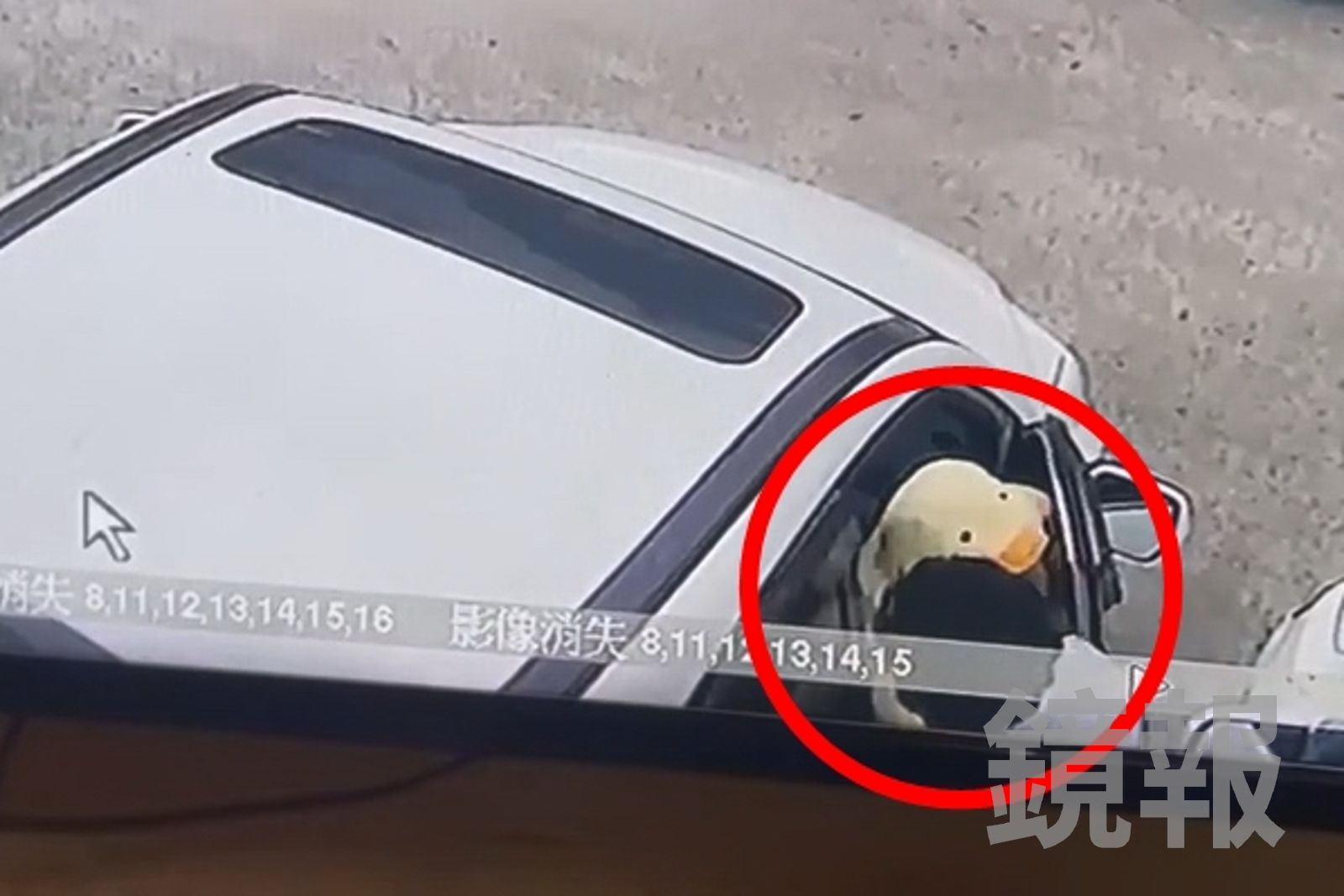 被害人坐進車內，從兒子手裡接過嬰兒(紅圈處)，未料沒多久，居然被對方隔窗暴打。被害人提供