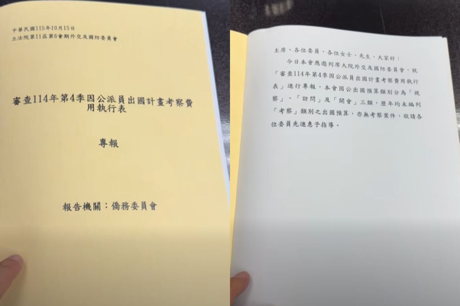 僑委會給立院的報告只有一頁。圖/翻攝自羅智強臉書