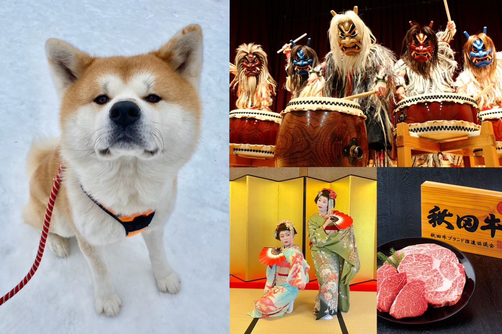 不用飛日本也能玩秋田！舞妓、生剝鬼太鼓秀、秋田犬11／22華山登場