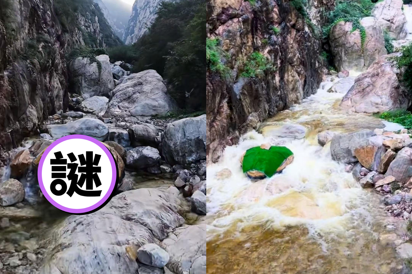 中國河南「巨大蟒蛇」探出水面！銳利雙眼直盯遊客超嚇人