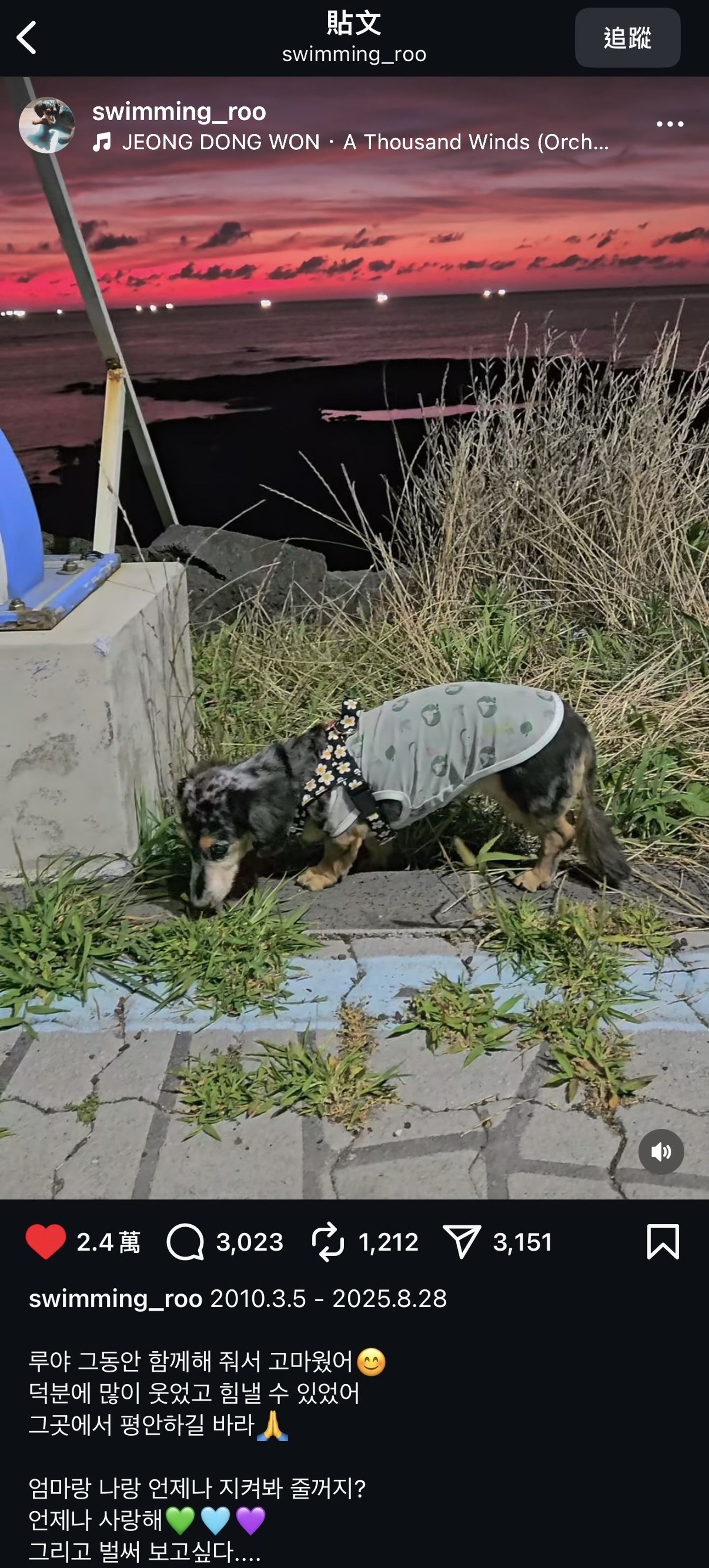 鐘鉉的姊姊發文，宣布星露離世的消息。翻攝Instagram @swimming_roo