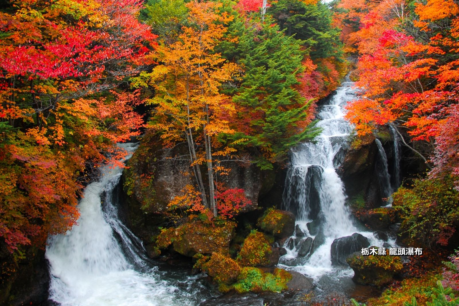 日本是台灣人最喜愛的亞洲旅遊目的地。圖／日本觀光局