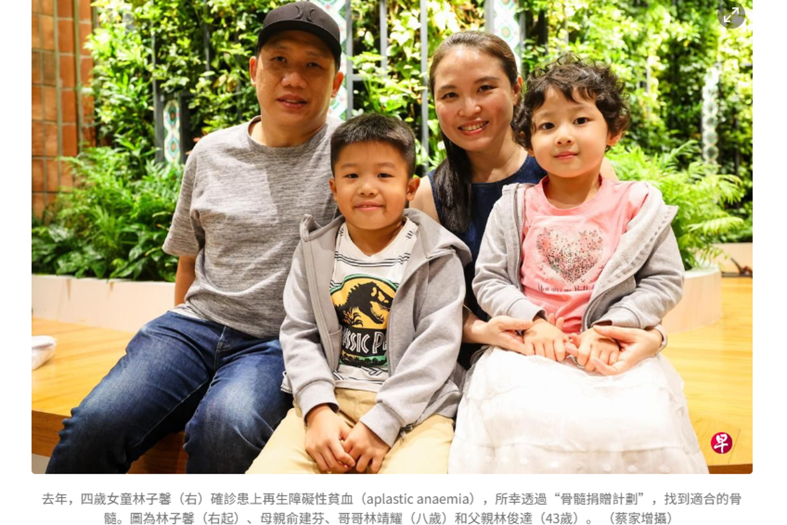 跨3千公里的愛！台男捐骨髓、親寫信祝星國5歲女童「健康長大」　家屬盼來台致謝
