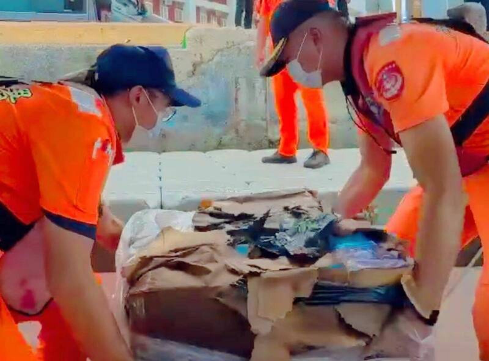 澎湖海域驚現大量漂流私菸 志工拍鯨鯊「同框」意外揭發走私棄貨