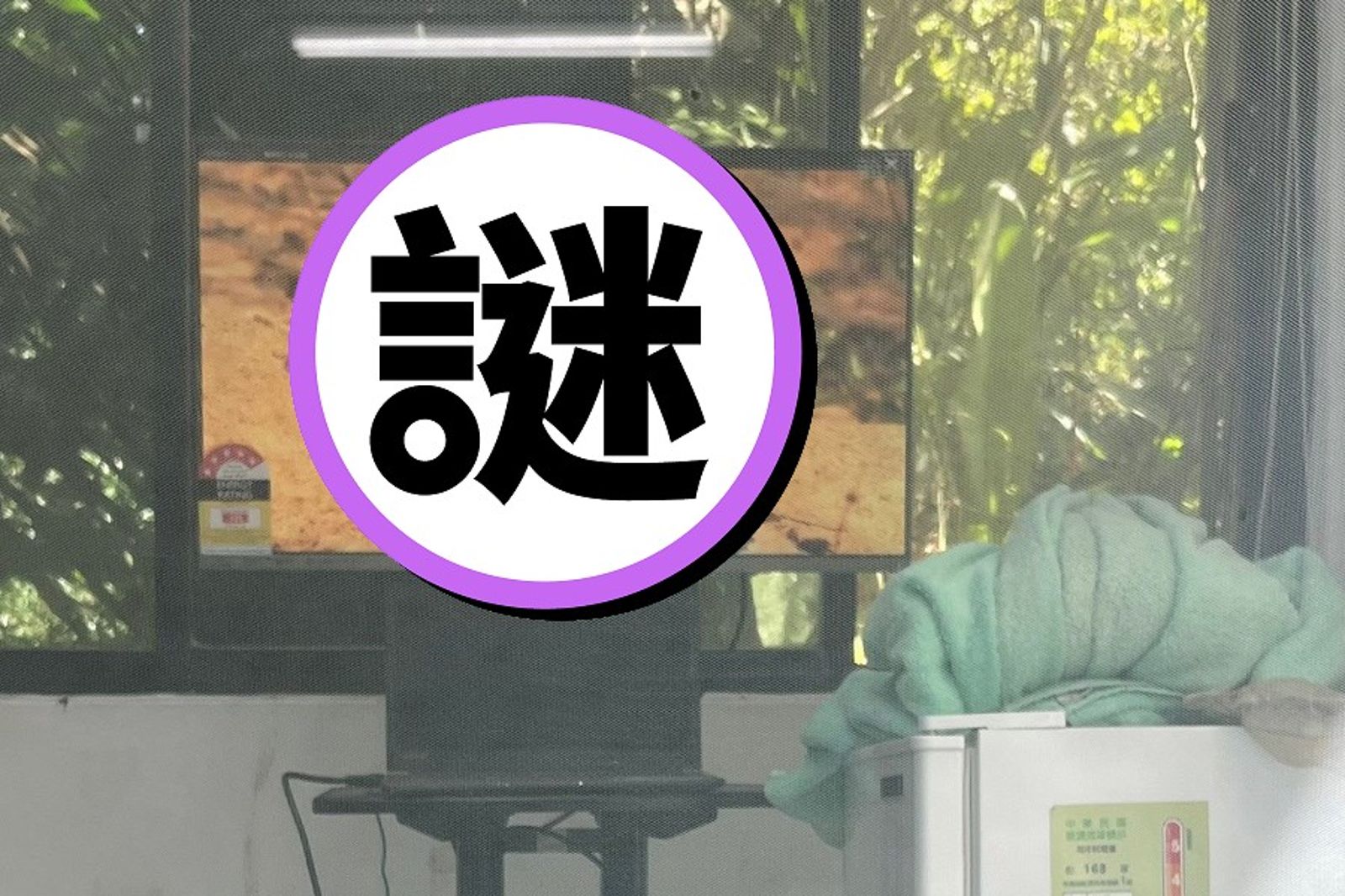 木柵動物園公播18禁謎片？原來是蜂虎上性教育　菜鳥學「愛情運動」