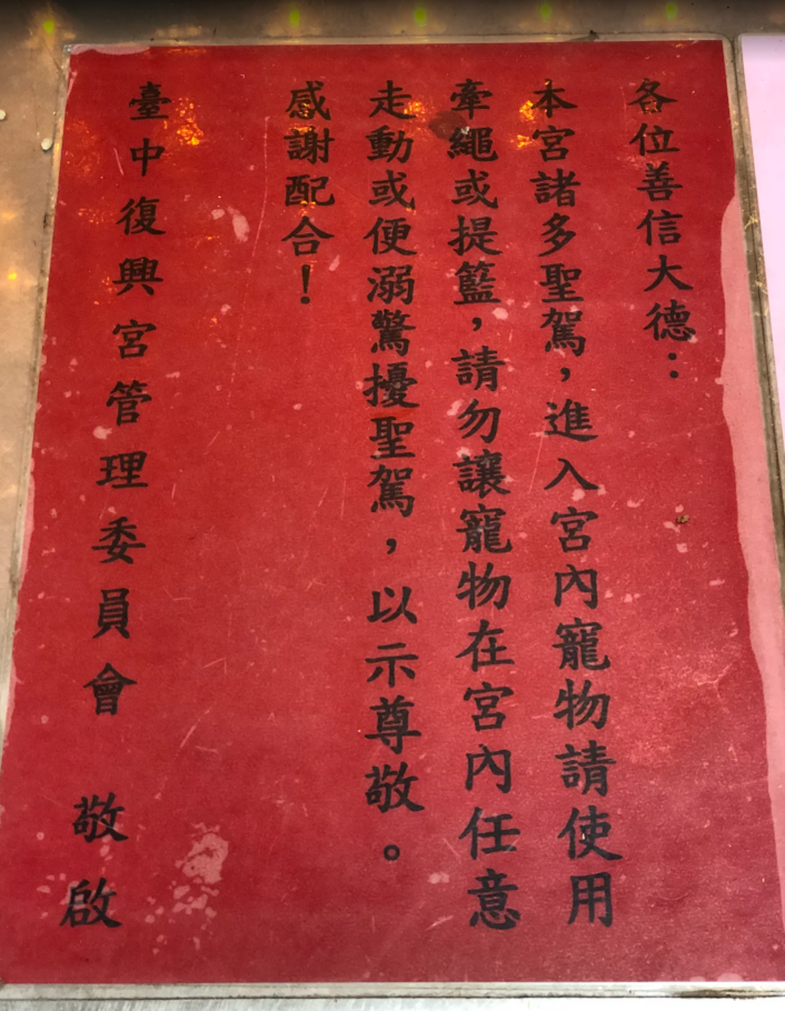 寵物入內需使用牽繩或提籃。圖/翻攝畫面