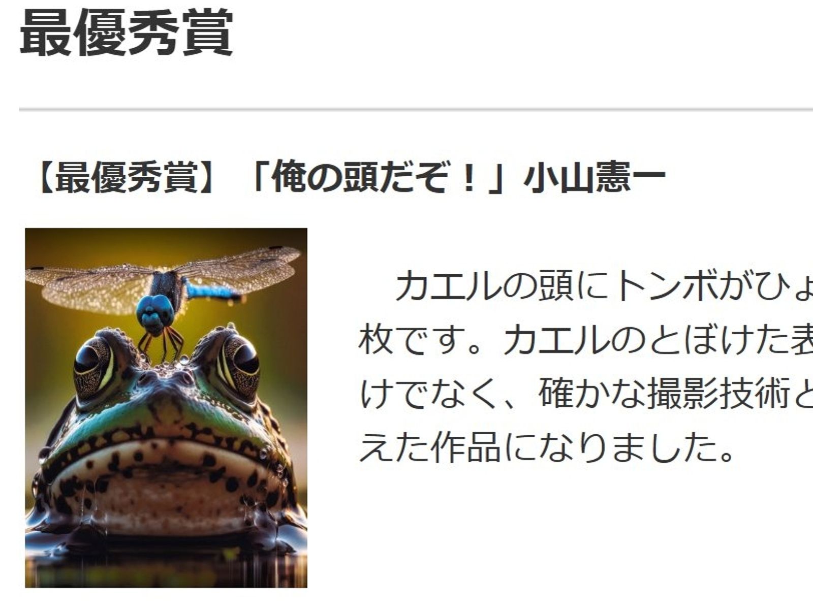 攝影比賽拿冠軍！遭爆是「免費AI圖」　竟還在美術館展出