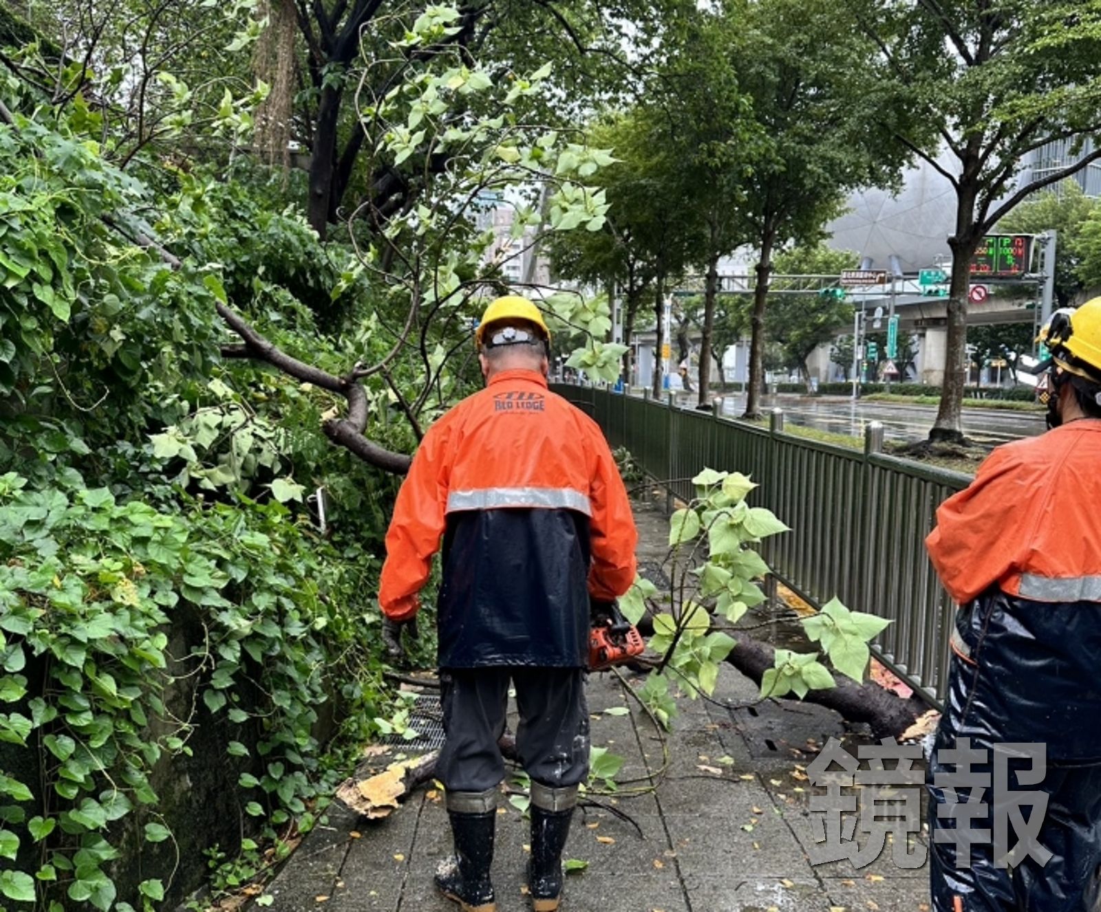 北市中山北路二段路樹倒塌。翻攝畫面