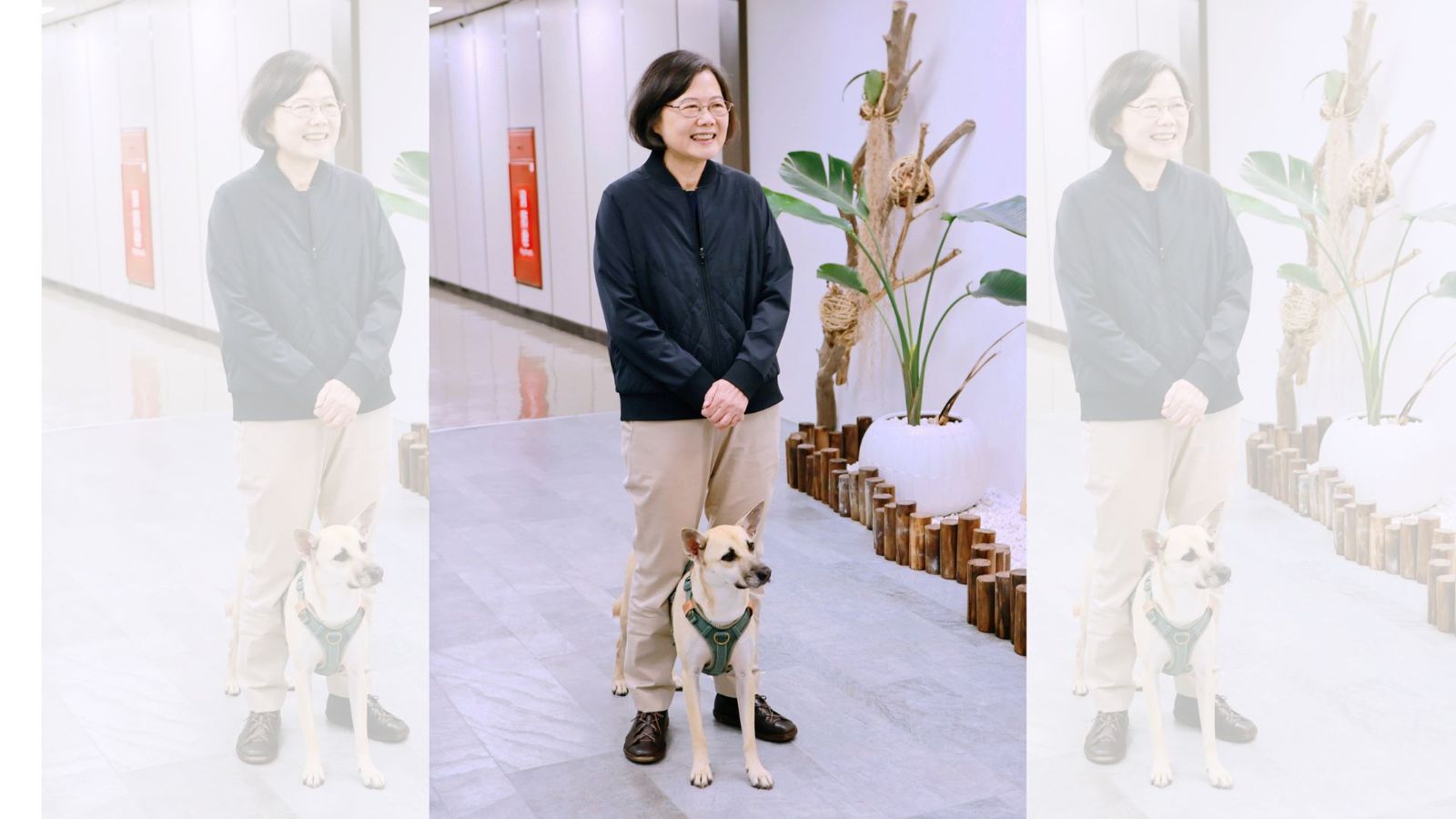 蔡英文情人節給「這兩句」祝福 網驚:連戀綜都有追?