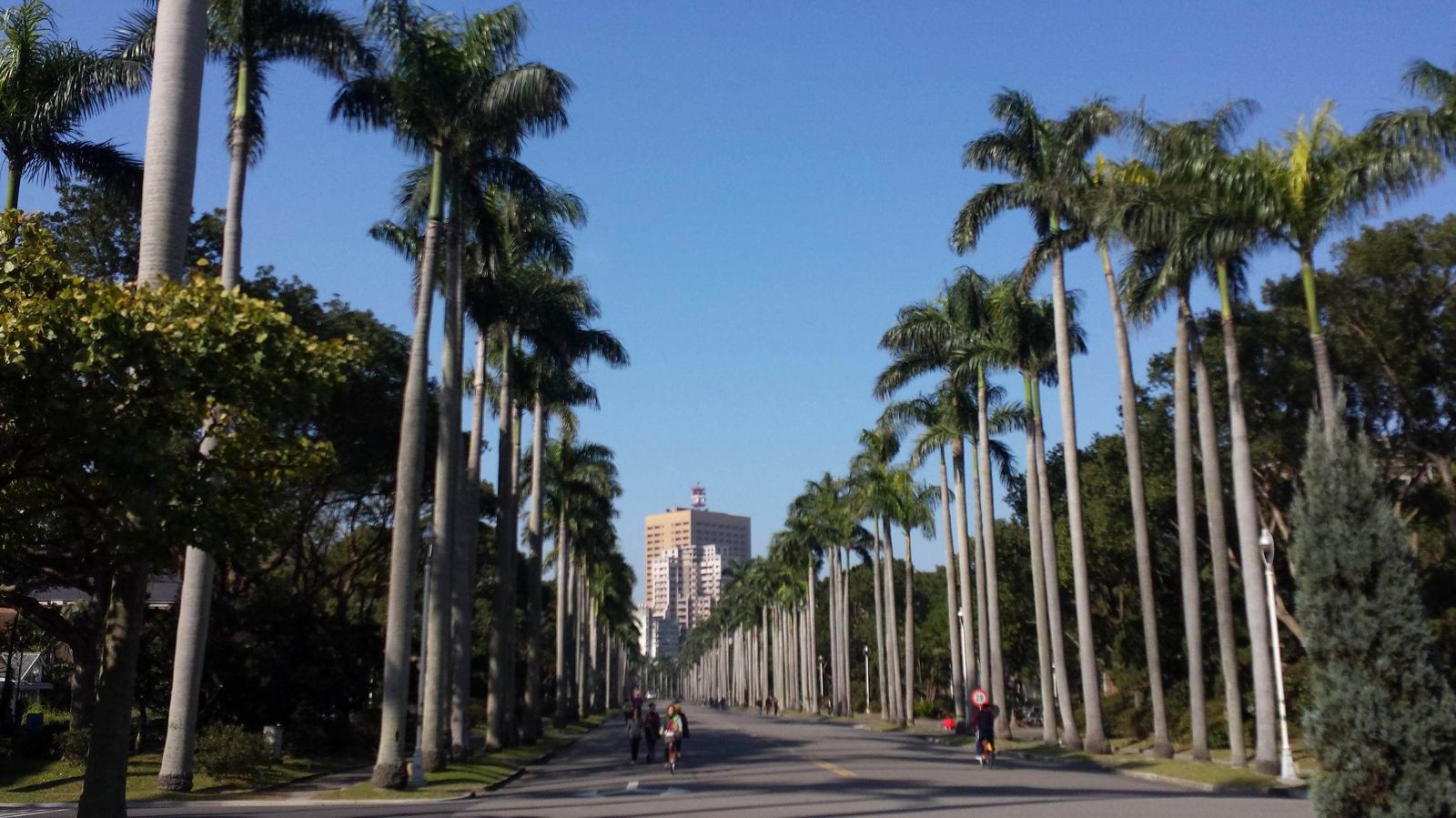 台大爆肺結核！學生驚覺都曾修過「這門課」　傳染途徑、康復機率一次看