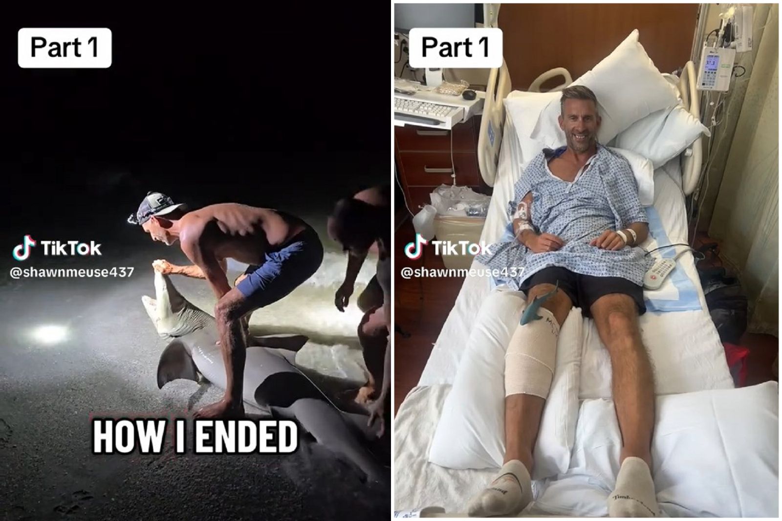 自作自受!男褻玩鯊魚逼擺拍 鯊鯊怒朝生殖器方向攻擊濺血