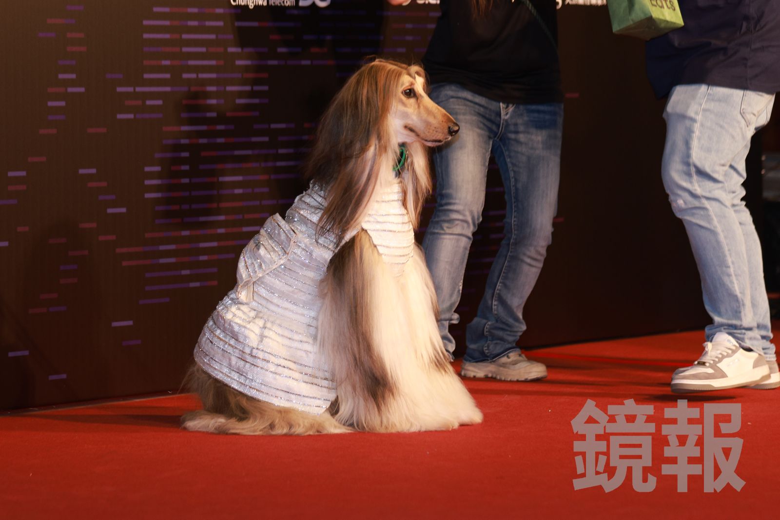 奧斯卡沒有跟進後台。攝影組攝