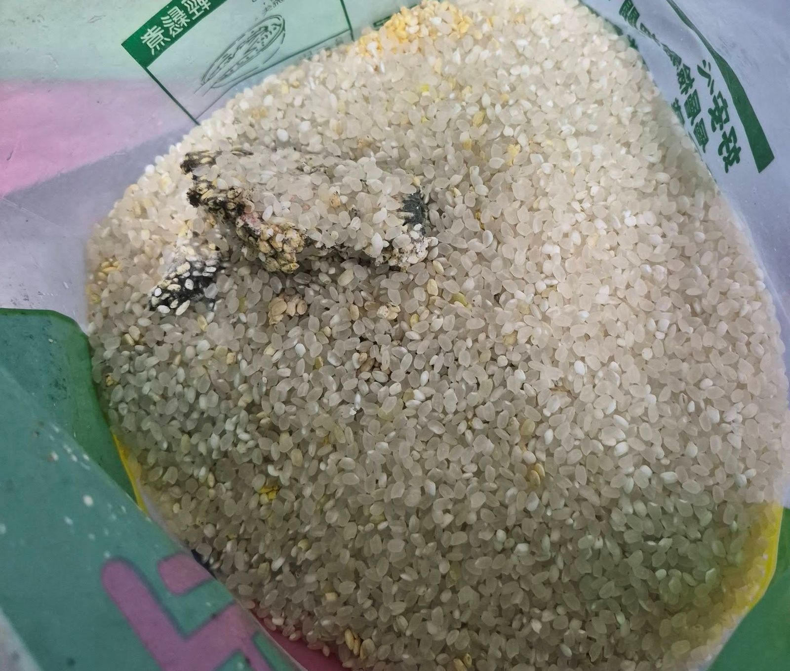女子打開米袋,被完整的青蛙屍體嚇傻。圖/我愛全聯-好物老實説FB