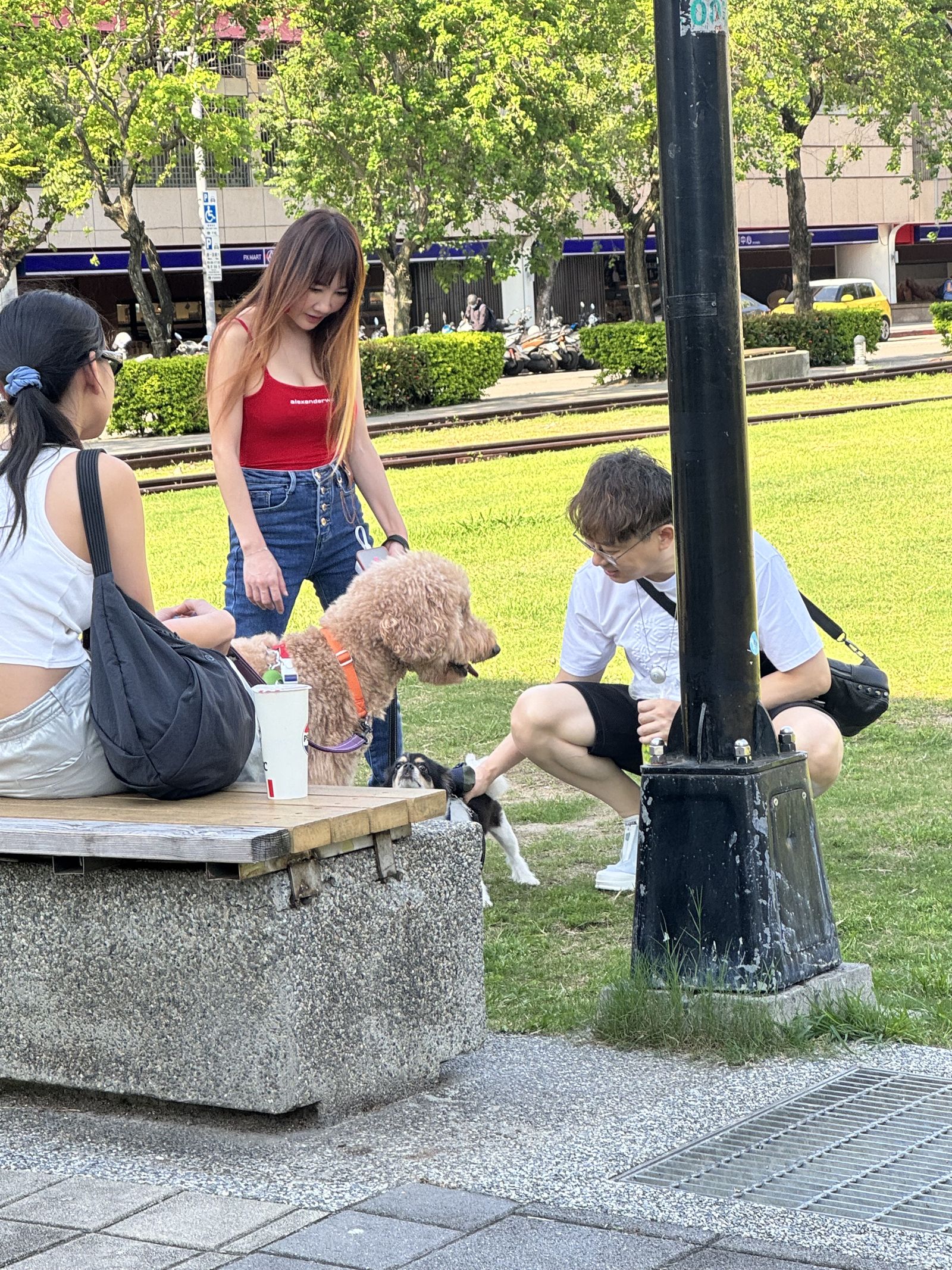王宥忻(中)與前夫翁承旭(右)頻頻安撫愛犬。(讀者提供)