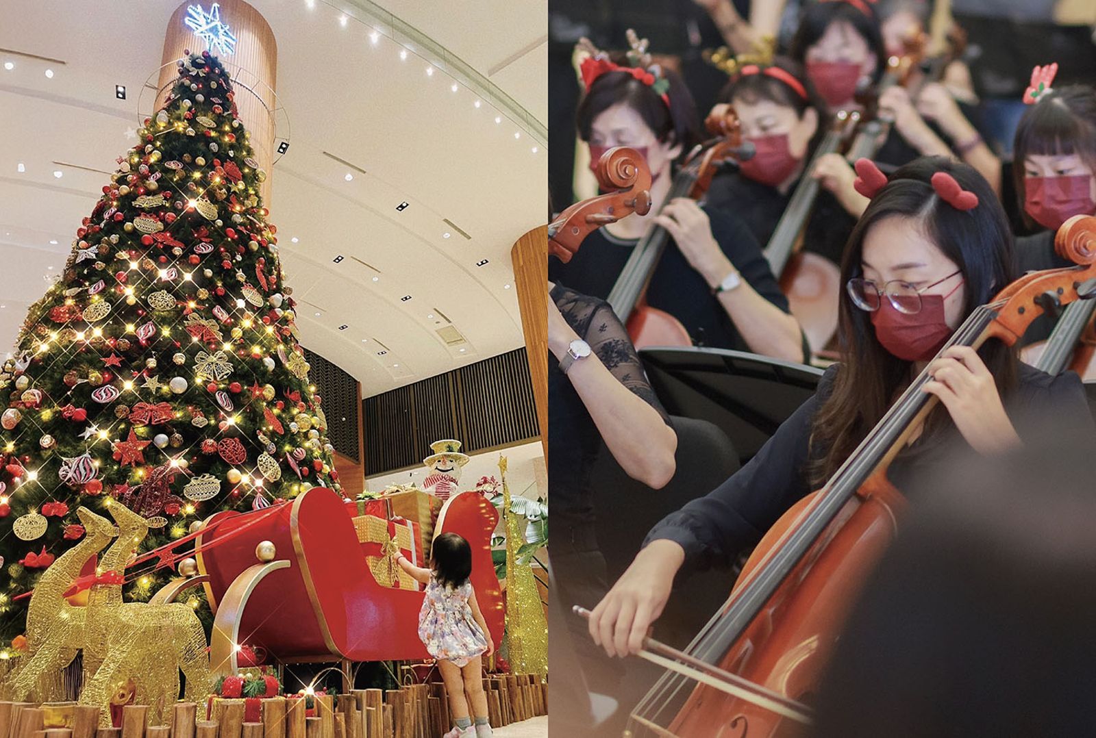 聖誕儀式感拉滿！台南遠東香格里拉「光」之樹明日點燈　交響樂團助陣