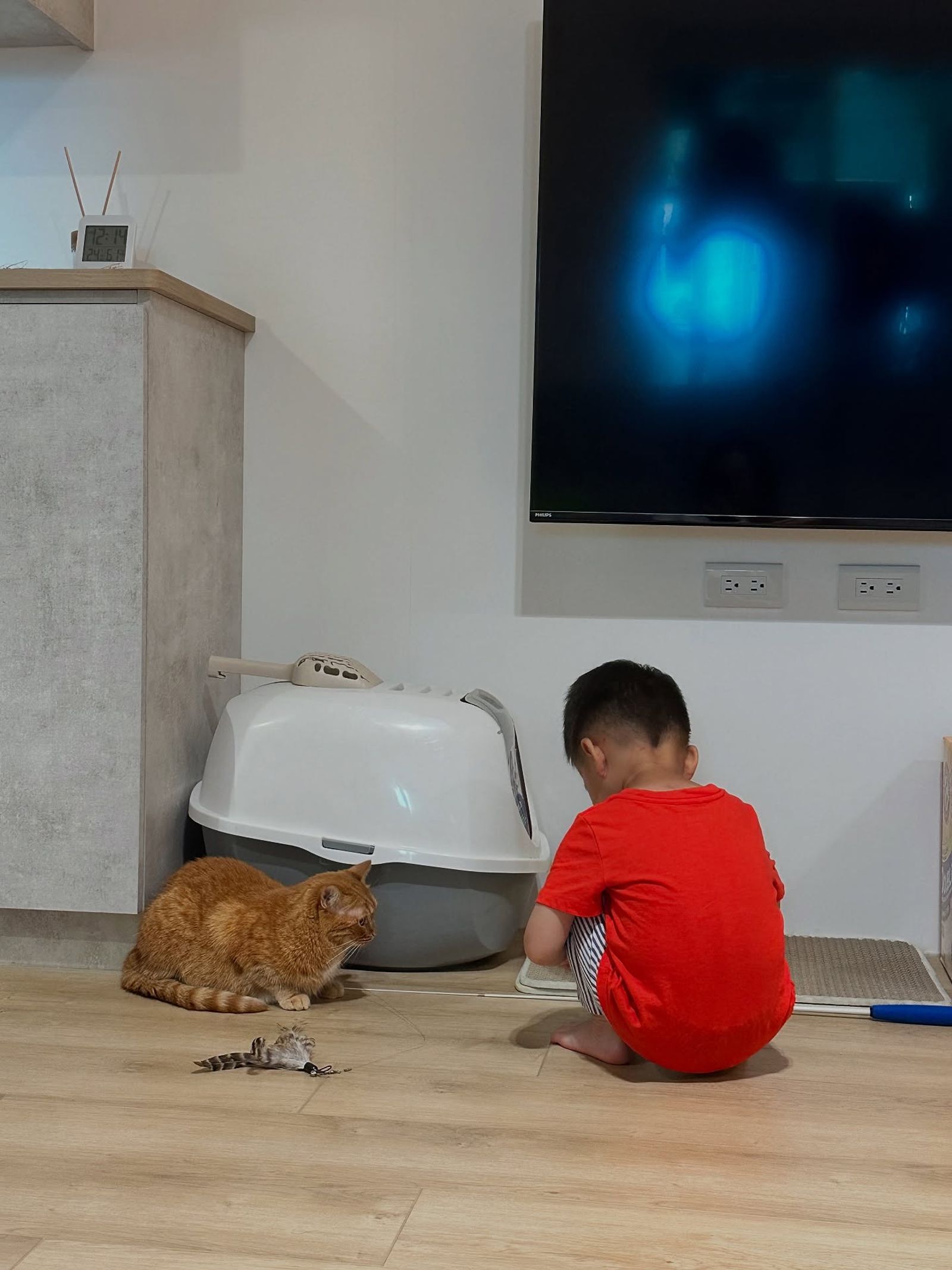 朋友的貓：妹妹（左）與Kelly兒子：小哥（右）。
