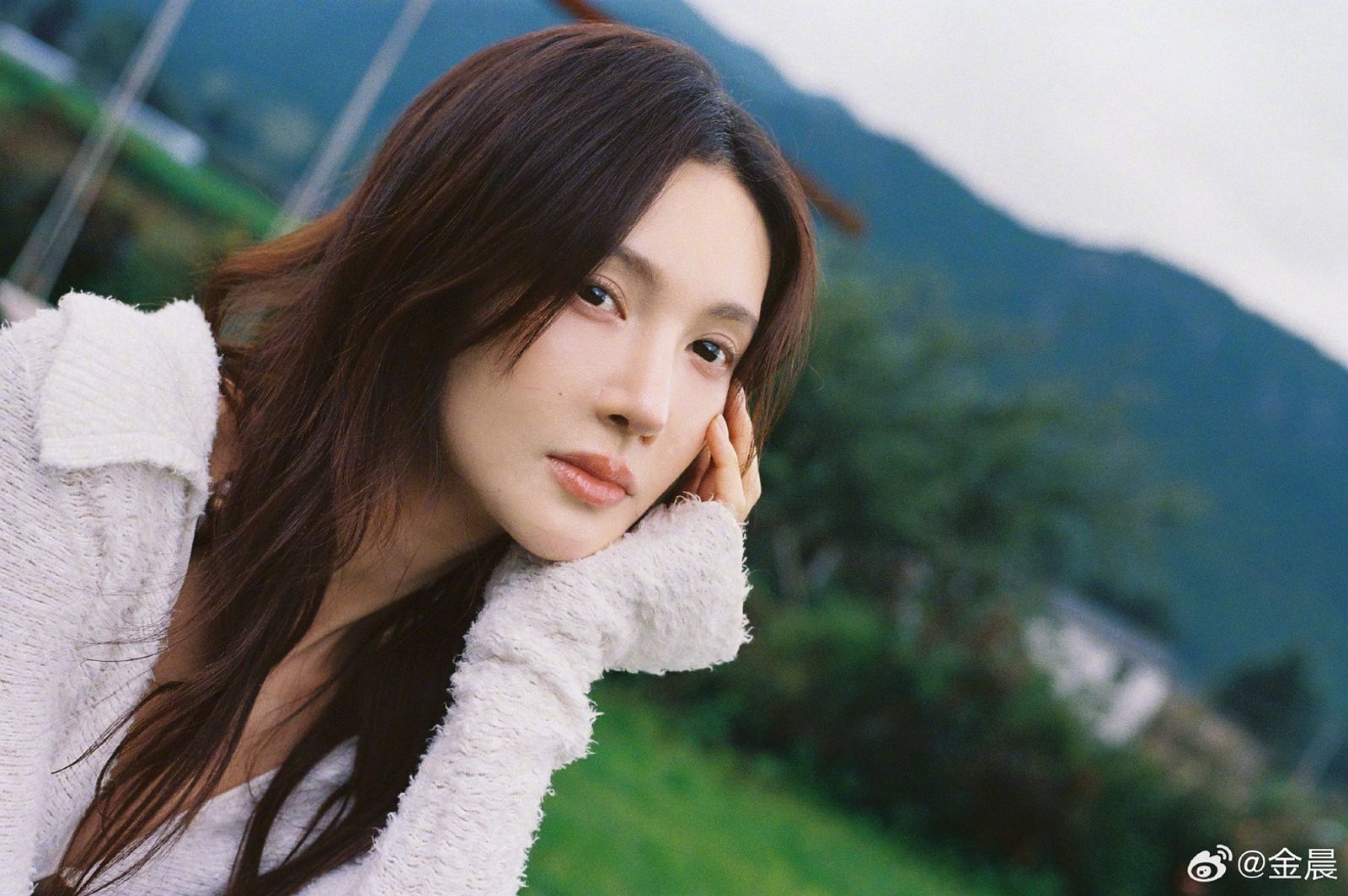 金晨車禍滿臉是血震撼畫面曝光 遭爆肇事逃逸、甩鍋給助理!親自發聲403字道歉了